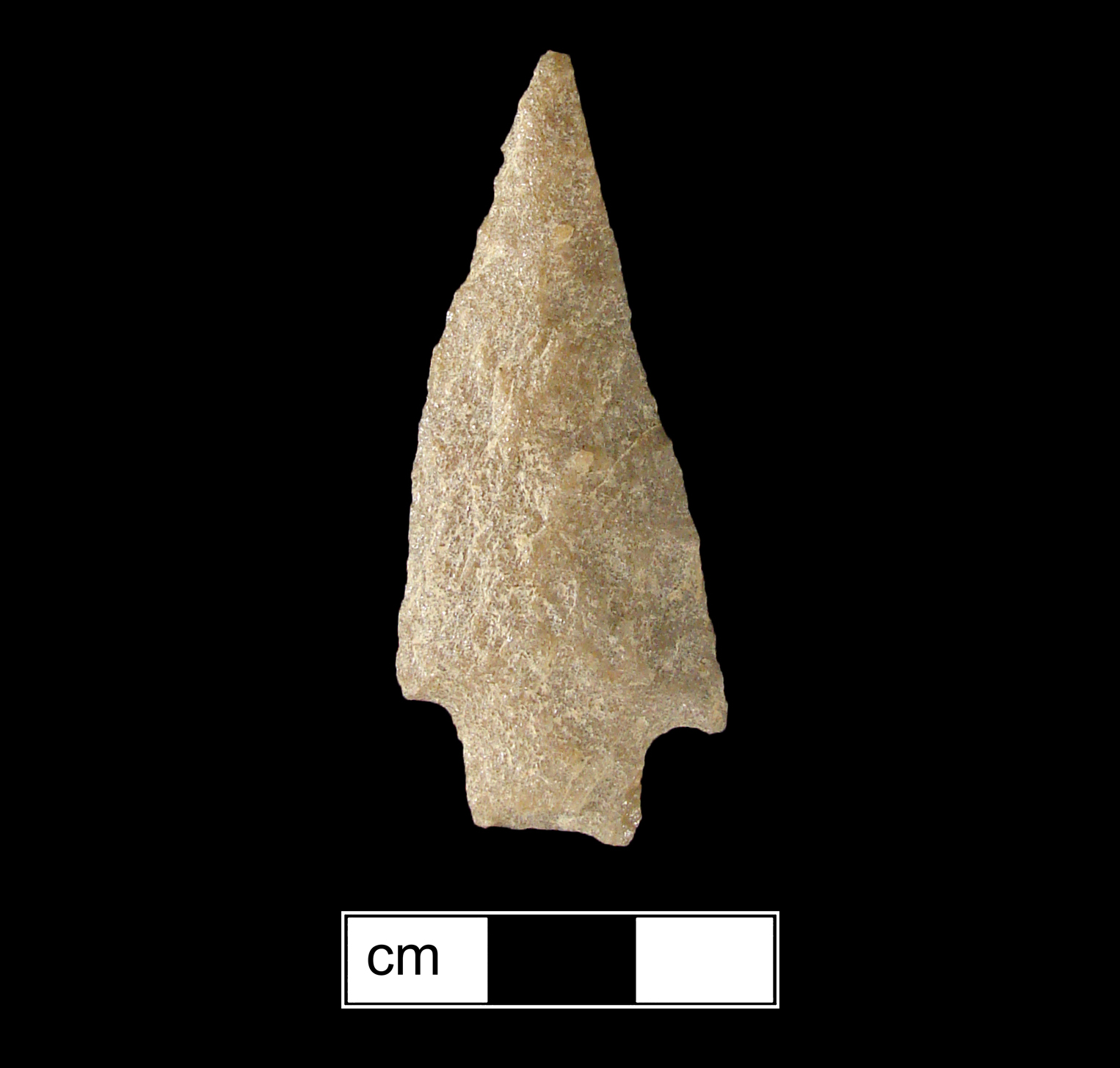 Image of stone projectile point made of Quartzite, Stemmed shape, with a Straight stem, Straight blade, and Concave base shape. Bare Island type.