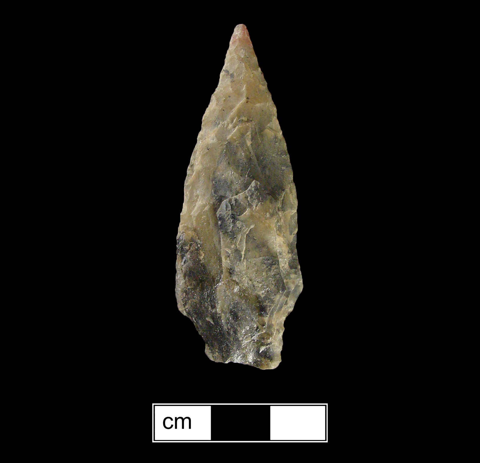 Image of stone projectile point made of Chert, Stemmed shape, with a Straight stem, Excurvate blade, and Straight base shape. Bare Island type.