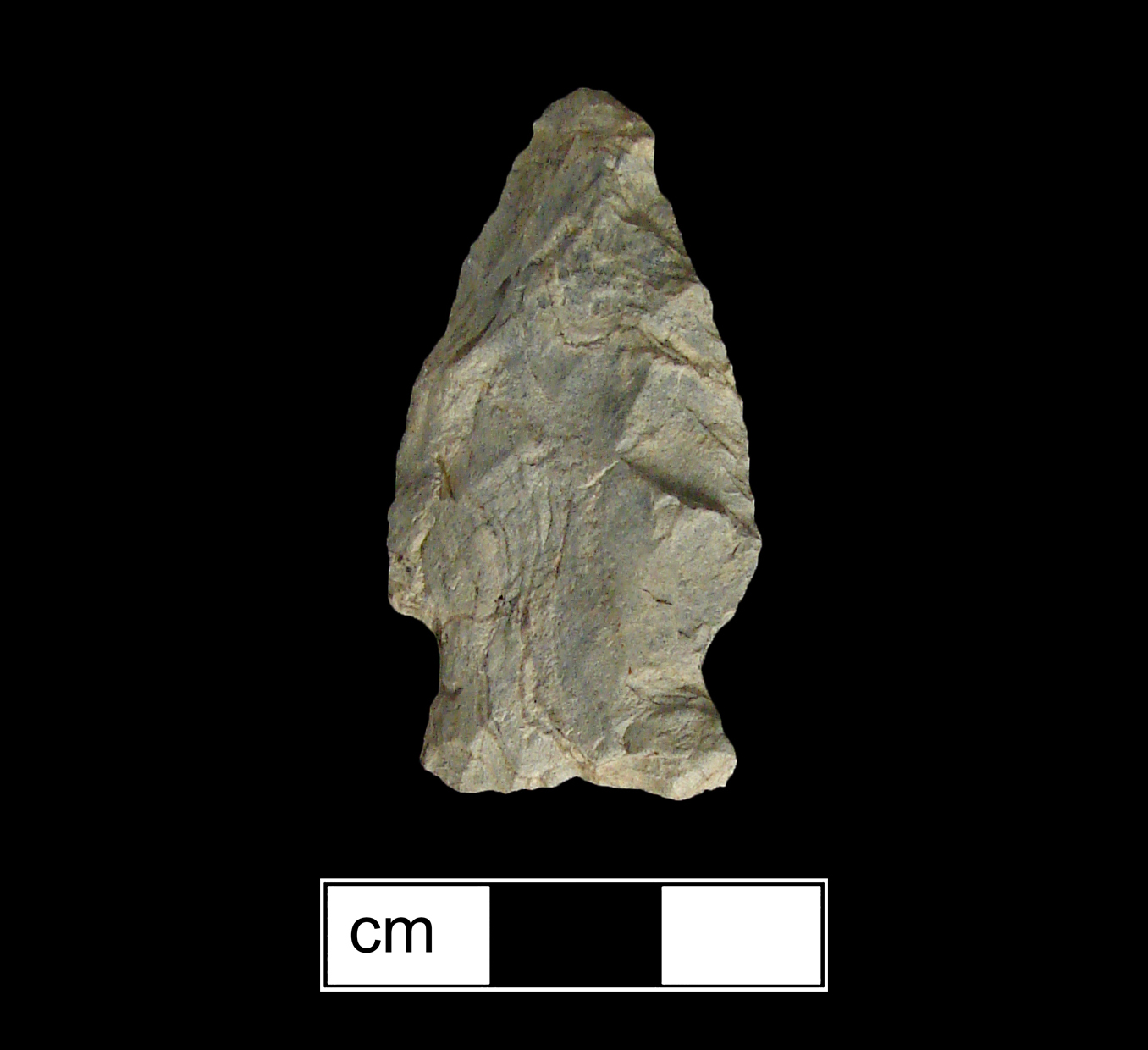 Image of stone projectile point made of Rhyolite, Corner-Notched shape, with a Expanding stem, Excurvate blade, and Concave base shape. Brewerton Corner Notched type.