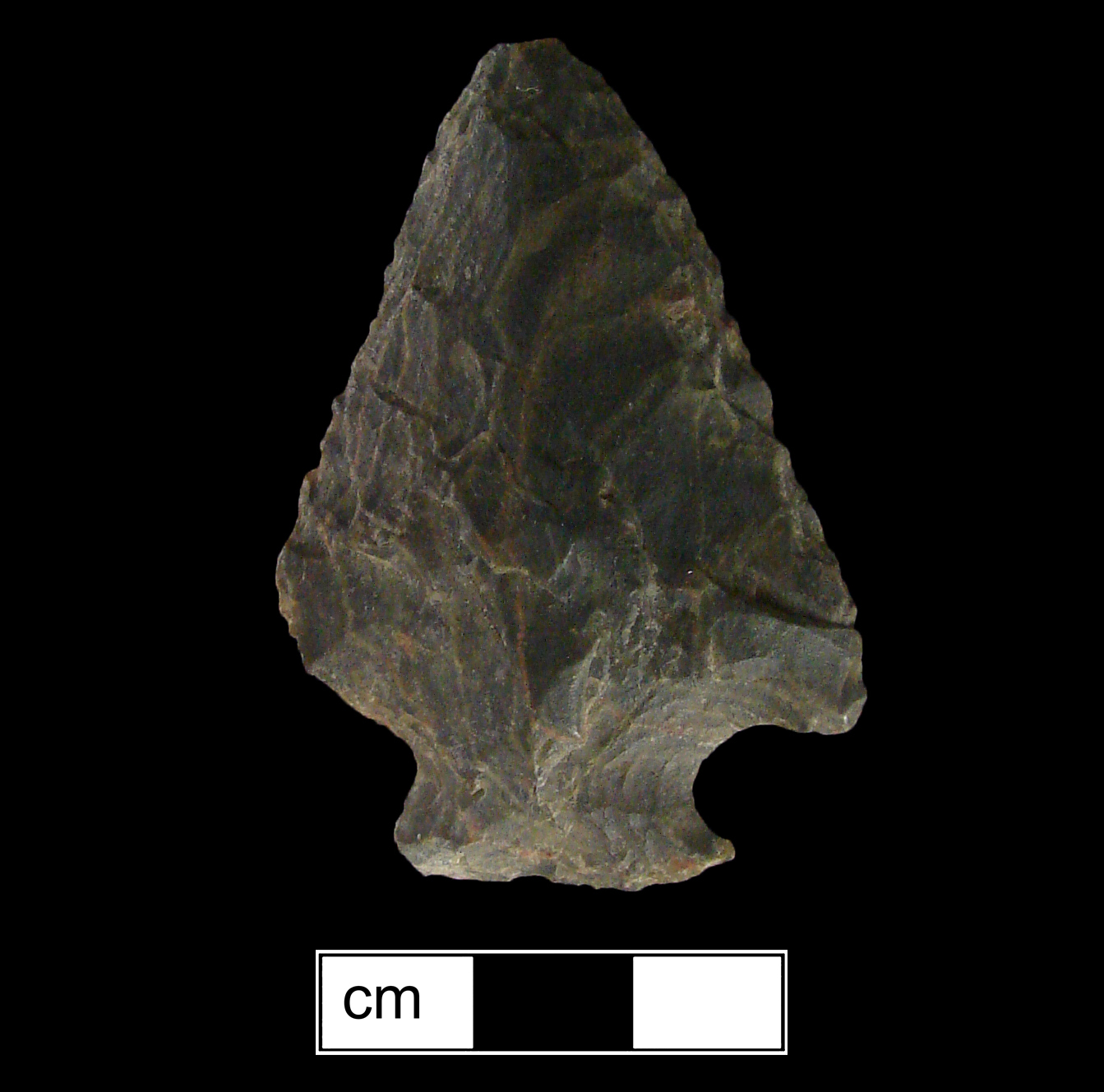 Image of stone projectile point made of Chert, Corner-Notched shape, with a Expanding stem, Straight blade, and Straight base shape. Brewerton Corner Notched type.