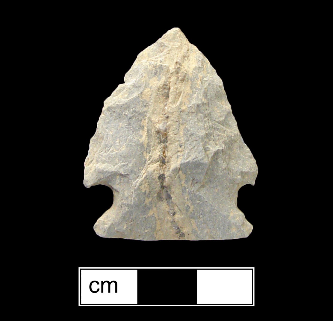 Image of stone projectile point made of Rhyolite, Corner-Notched shape, with a Expanding stem, Excurvate blade, and Straight base shape. Brewerton Corner Notched type.