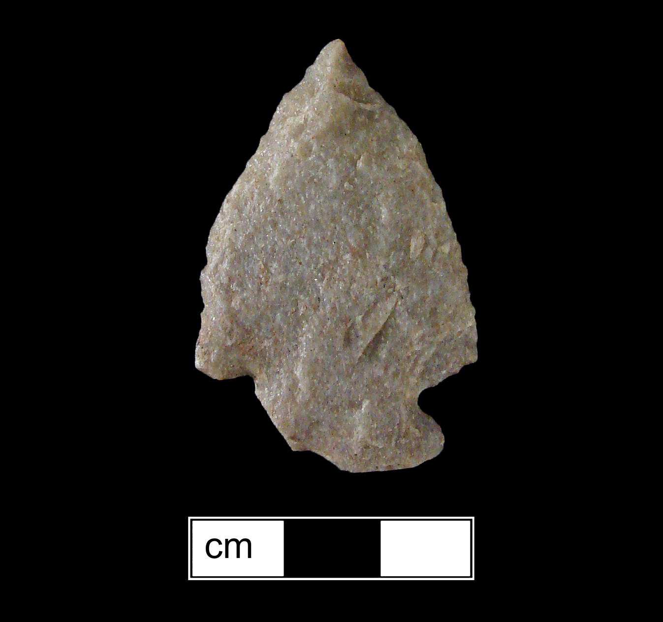 Image of stone projectile point made of Quartzite, Corner-Notched shape, with a Expanding stem, Excurvate blade, and Straight base shape. Brewerton Corner Notched type.