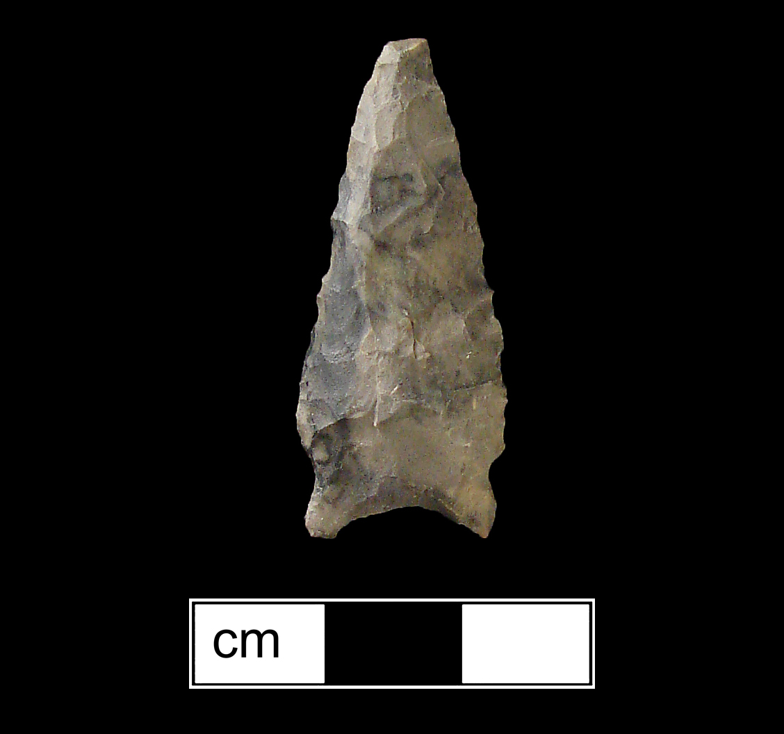 Image of stone projectile point made of Chert, Side-Notched shape, with a Expanding stem, Straight blade, and Concave base shape. Brewerton Eared Notched type.