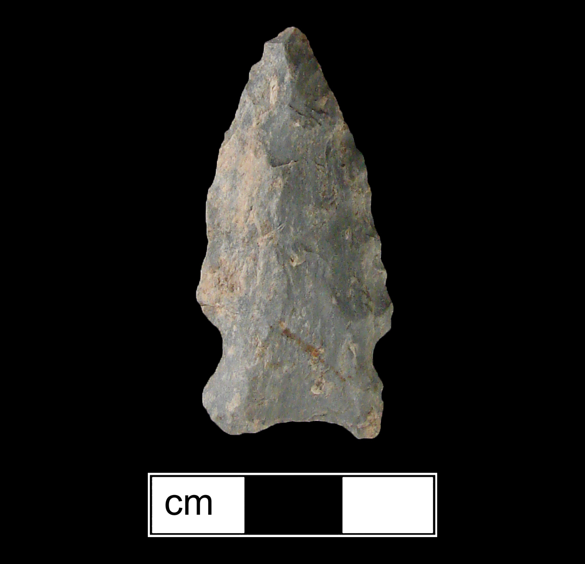 Image of stone projectile point made of Rhyolite, Side-Notched shape, with a Expanding stem, Excurvate blade, and Concave base shape. Brewerton Eared Notched type.