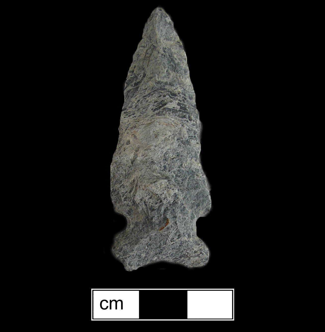 Image of stone projectile point made of Rhyolite, Side-Notched shape, with a Expanding stem, Straight blade, and Concave base shape. Brewerton Eared Notched type.
