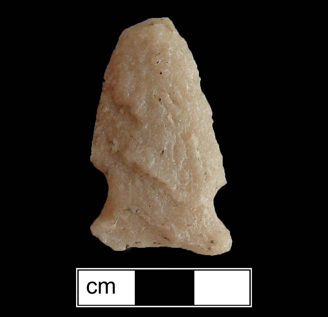 Image of stone projectile point made of Quartzite, Side-Notched shape, with a Expanding stem, Excurvate blade, and Concave base shape. Brewerton Eared Notched type.