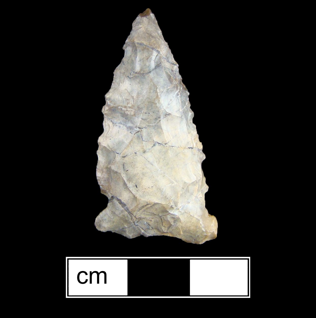 Image of stone projectile point made of Chert, Triangular shape, with a Expanding stem, Excurvate blade, and Straight base shape. Brewerton Eared Triangle type.