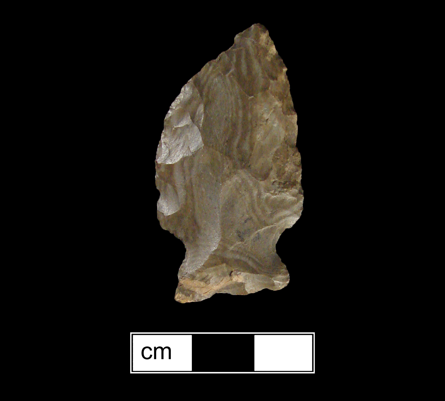 Image of stone projectile point made of Jasper, Side-Notched shape, with a Expanding stem, Excurvate blade, and Straight base shape. Brewerton Side Notched type.