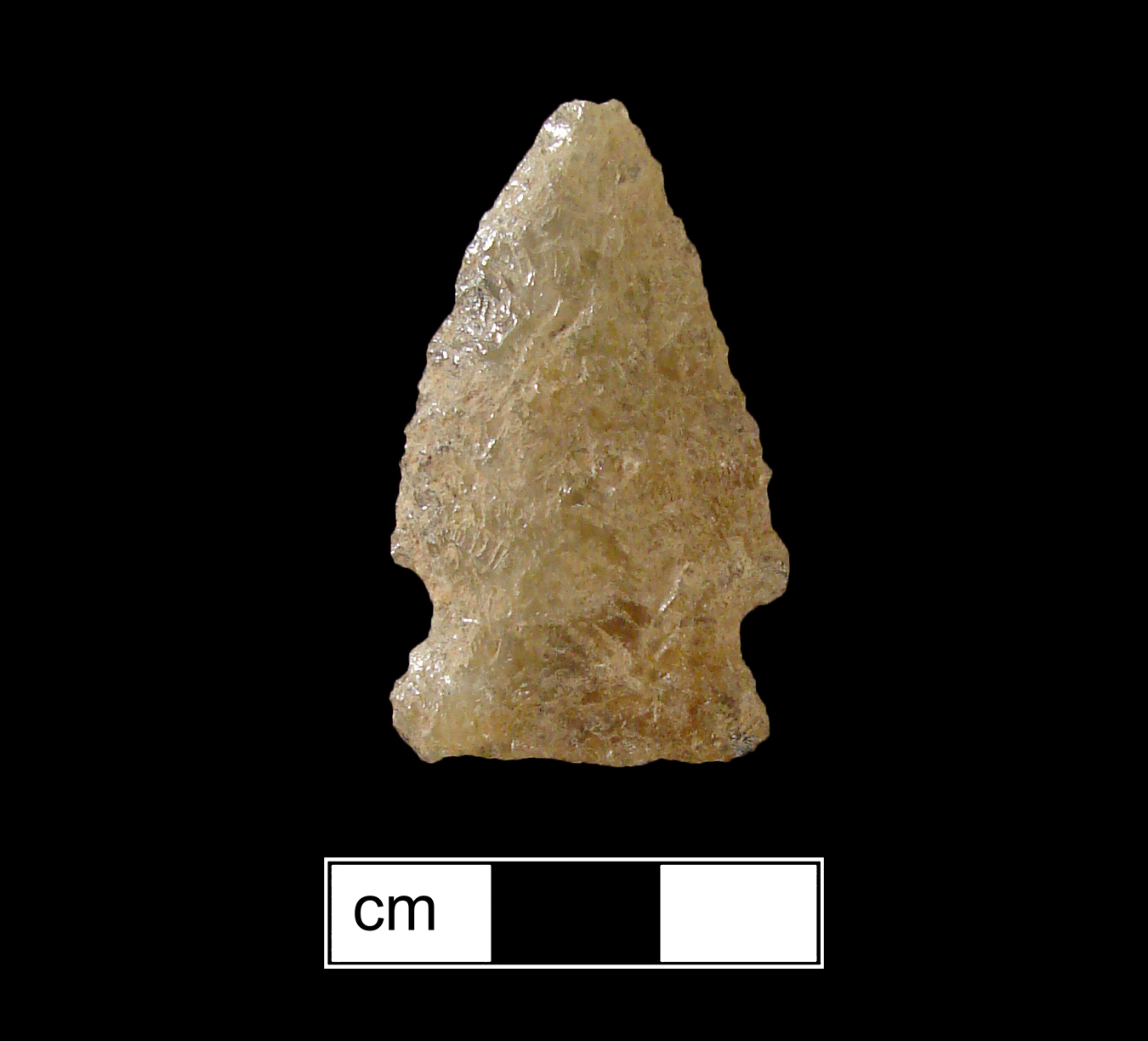 Image of stone projectile point made of Quartzite, Side-Notched shape, with a Expanding stem, Straight blade, and Straight base shape. Brewerton Side Notched type.