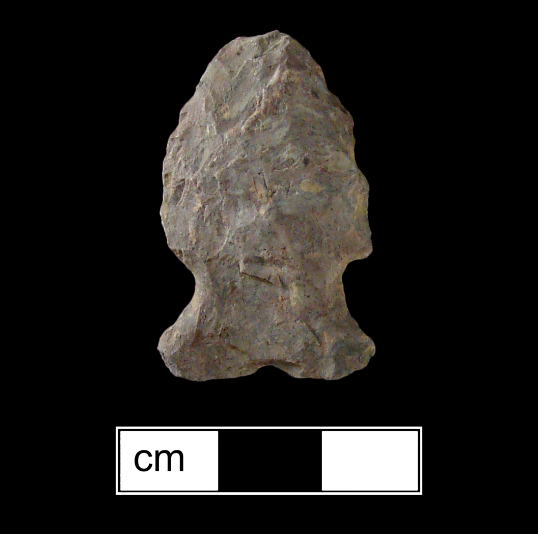 Image of stone projectile point made of Rhyolite, Side-Notched shape, with a Expanding stem, Excurvate blade, and Straight base shape. Brewerton Side Notched type.