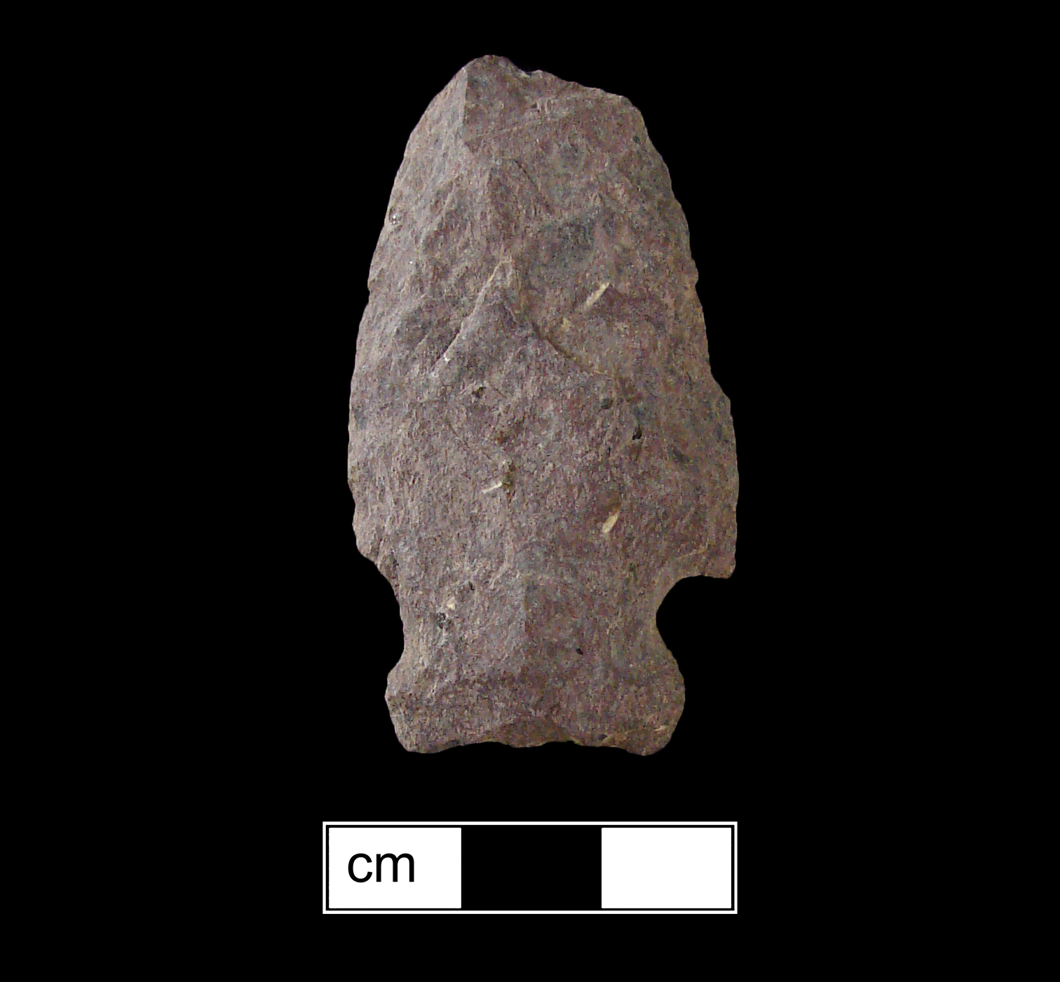 Image of stone projectile point made of Argillite, Side-Notched shape, with a Expanding stem, Excurvate blade, and Concave base shape. Brewerton Side Notched type.
