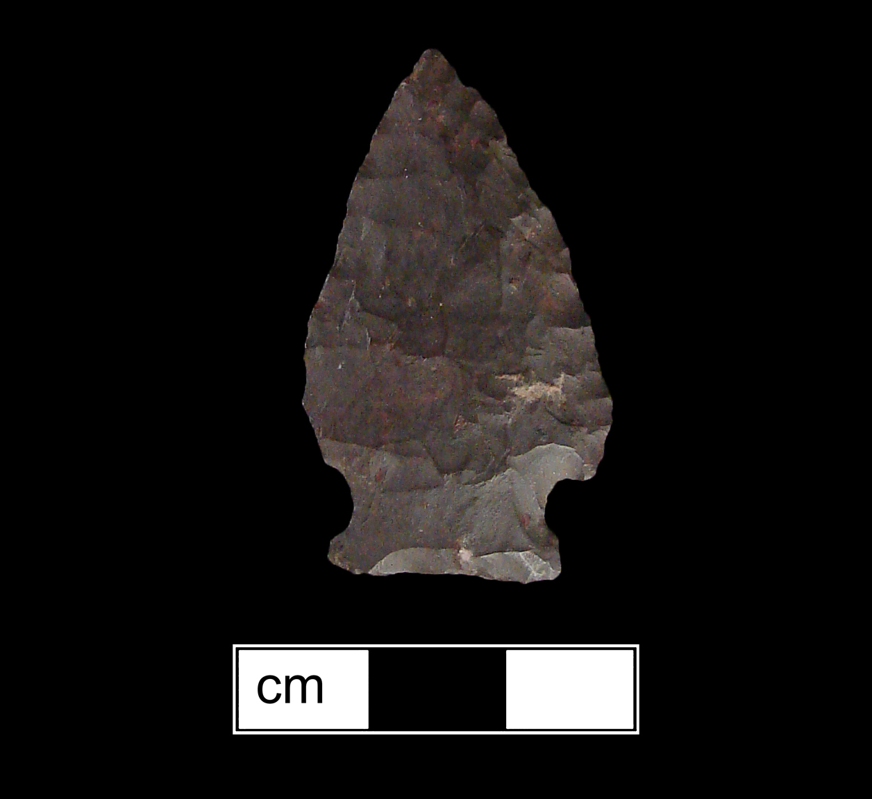 Image of stone projectile point made of Chert, Side-Notched shape, with a Expanding stem, Excurvate blade, and Straight base shape. Brewerton Side Notched type.