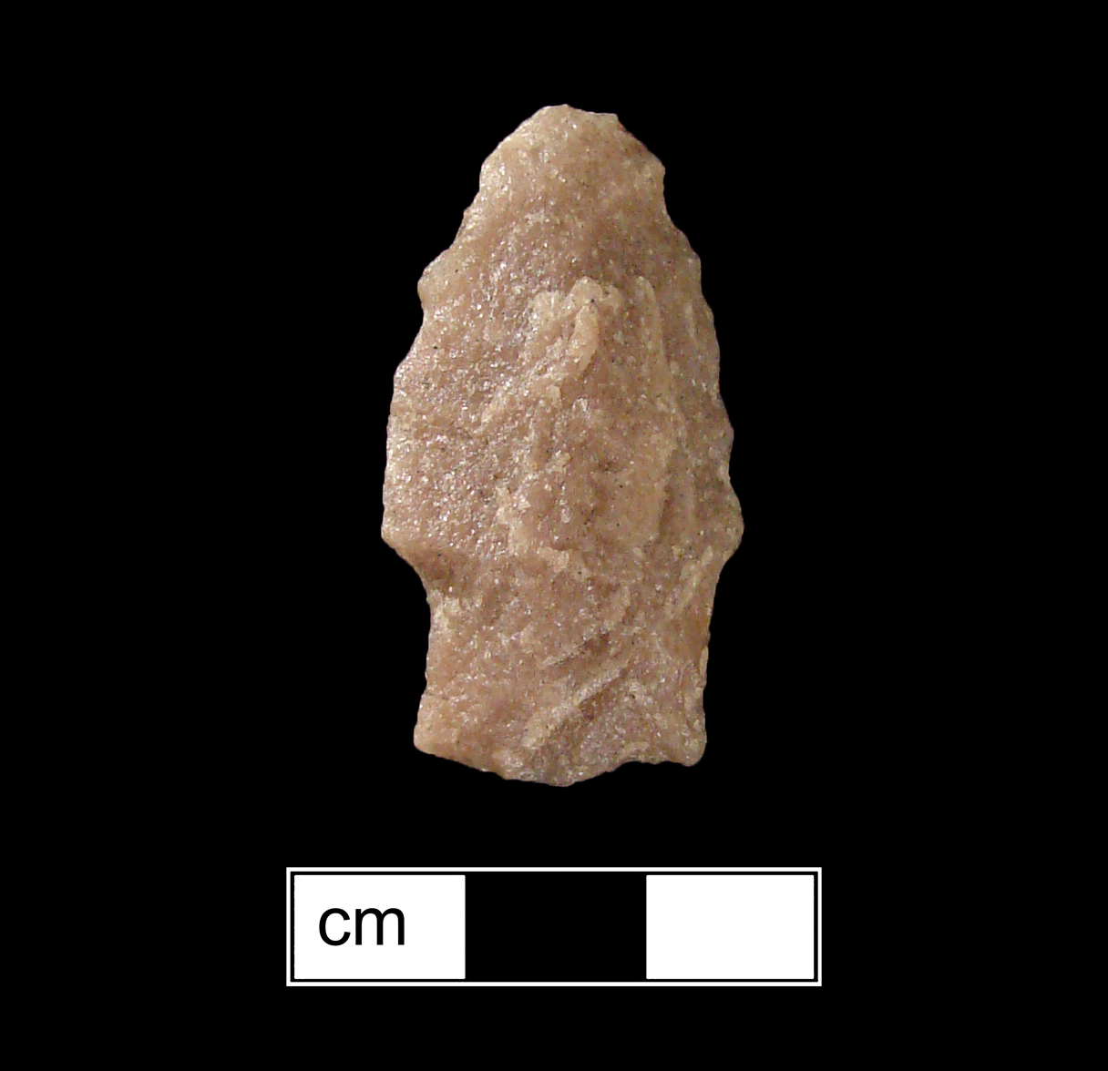 Image of stone projectile point made of Quartzite, Stemmed shape, with a Straight stem, Excurvate blade, and Straight base shape. Calvert type.