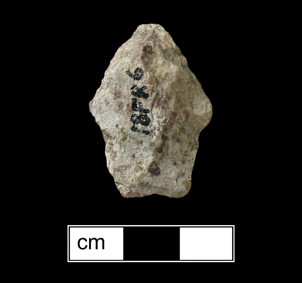 Image of stone projectile point made of Quartzite, Stemmed shape, with a Straight stem, Straight blade, and Straight base shape. Calvert type.