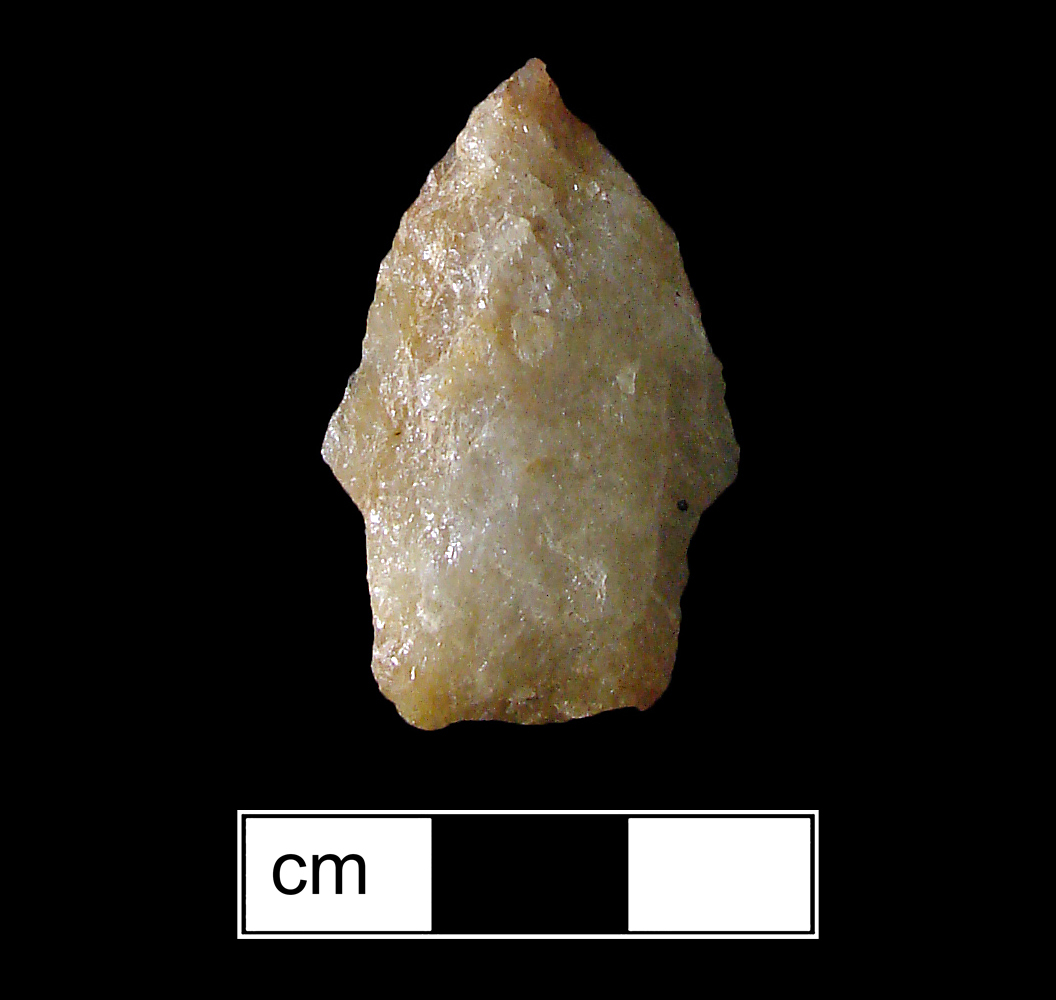 Image of stone projectile point made of Quartz, Stemmed shape, with a Straight stem, Excurvate blade, and Straight base shape. Calvert type.