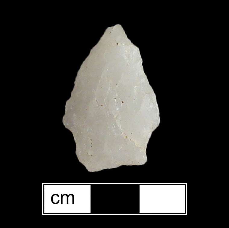 Image of stone projectile point made of Quartz, Stemmed shape, with a Straight stem, Excurvate blade, and Straight base shape. Calvert type.