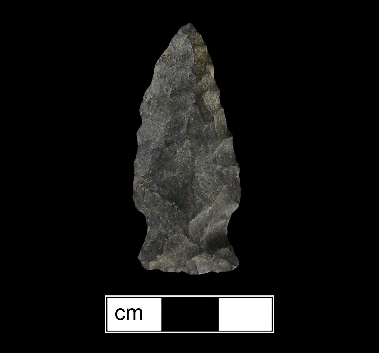 Image of stone projectile point made of Chert, Stemmed shape, with a Expanding stem, Excurvate blade, and Straight base shape. Clagett type.