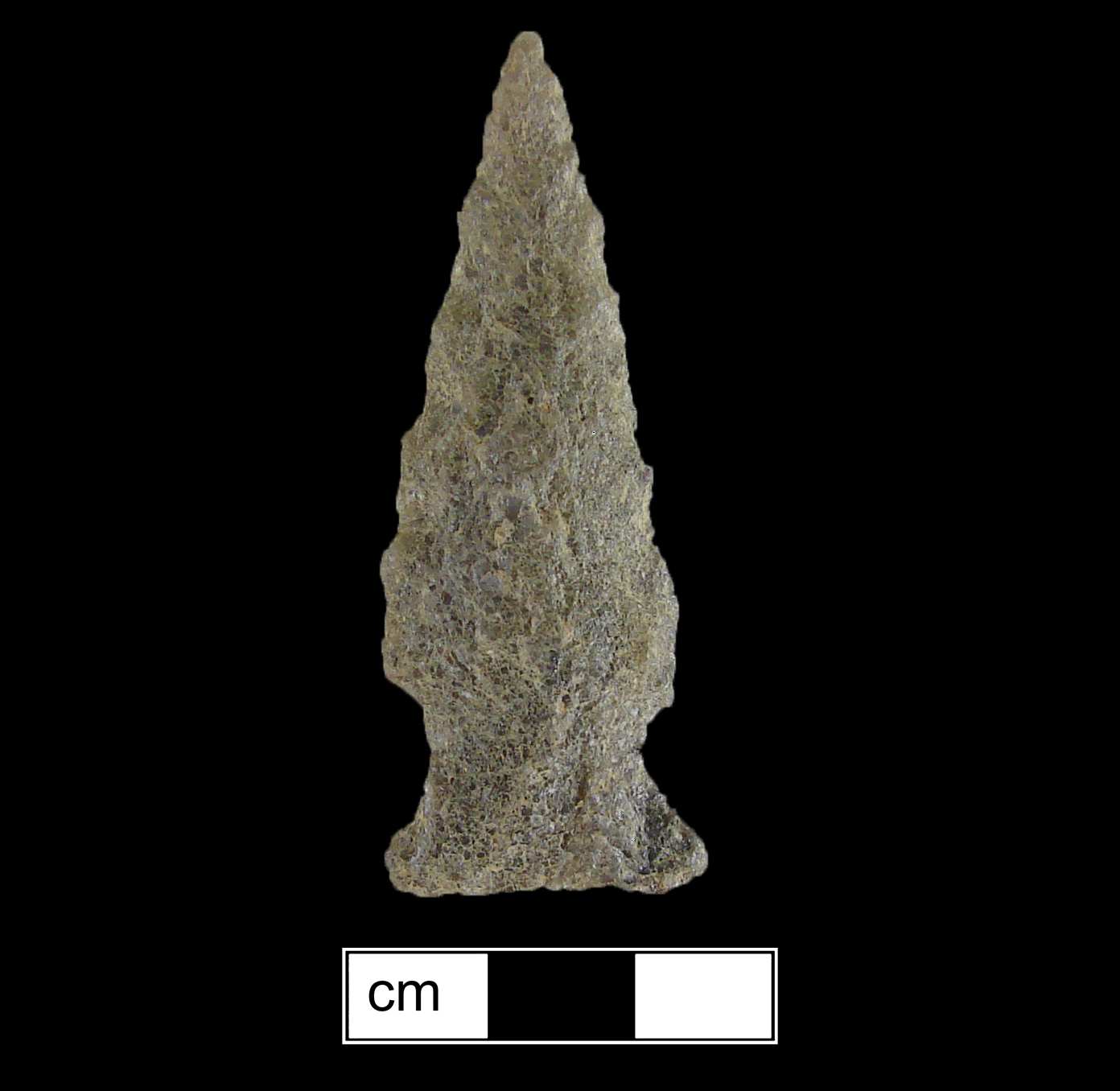 Image of stone projectile point made of Quartzite, Stemmed shape, with a Expanding stem, Straight blade, and Straight base shape. Clagett type.