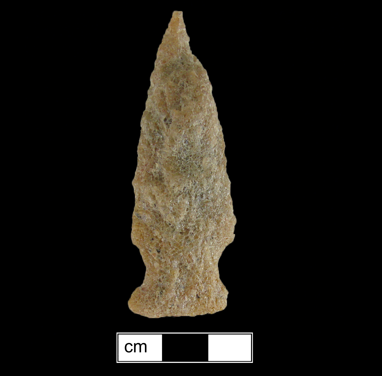 Image of stone projectile point made of Quartzite, Stemmed shape, with a Expanding stem, Excurvate blade, and Straight base shape. Clagett type.