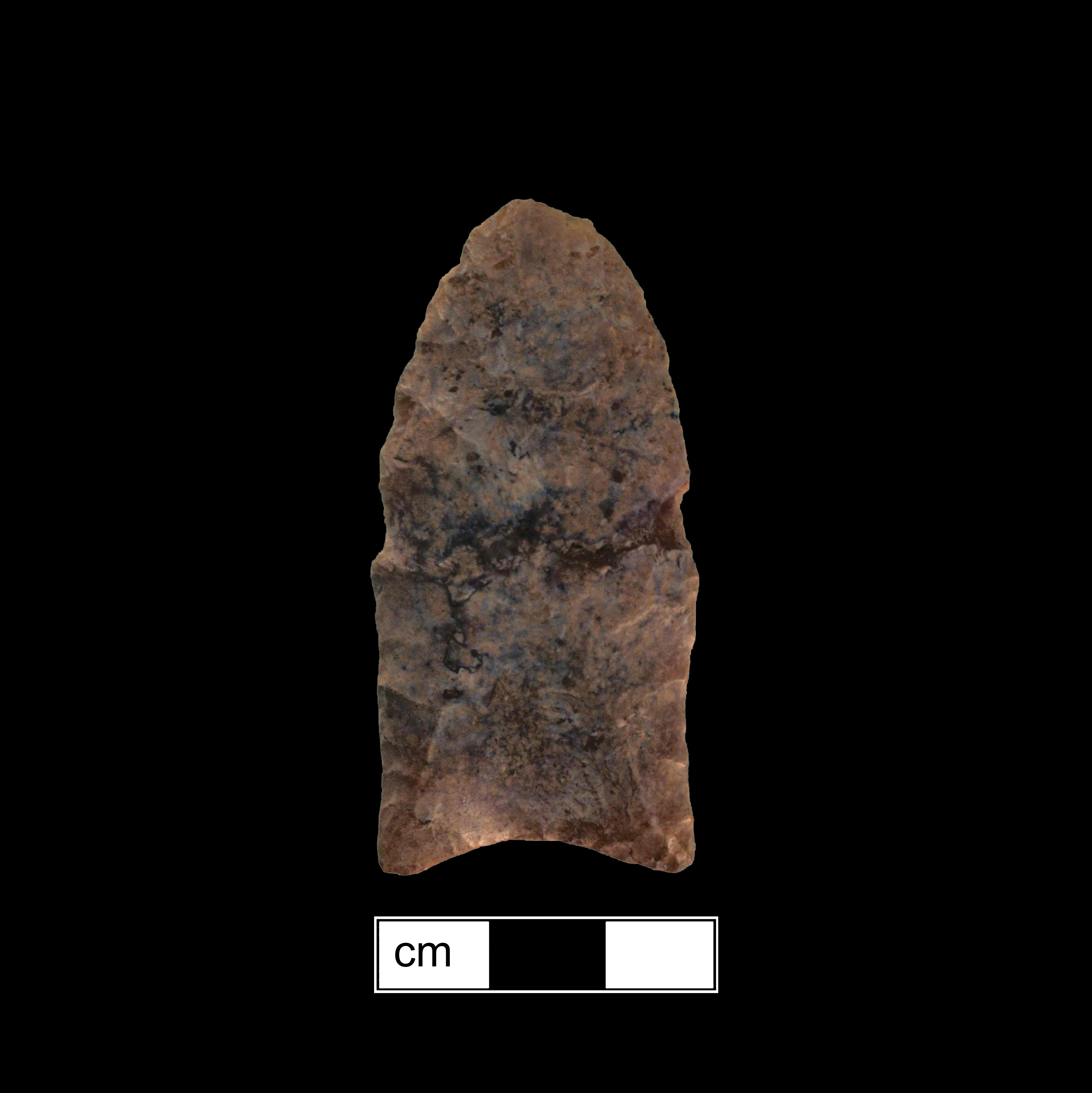 Image of stone projectile point made of Chert, Lanceolate shape, with a N/A stem, Straight blade, and Concave base shape. Clovis type.