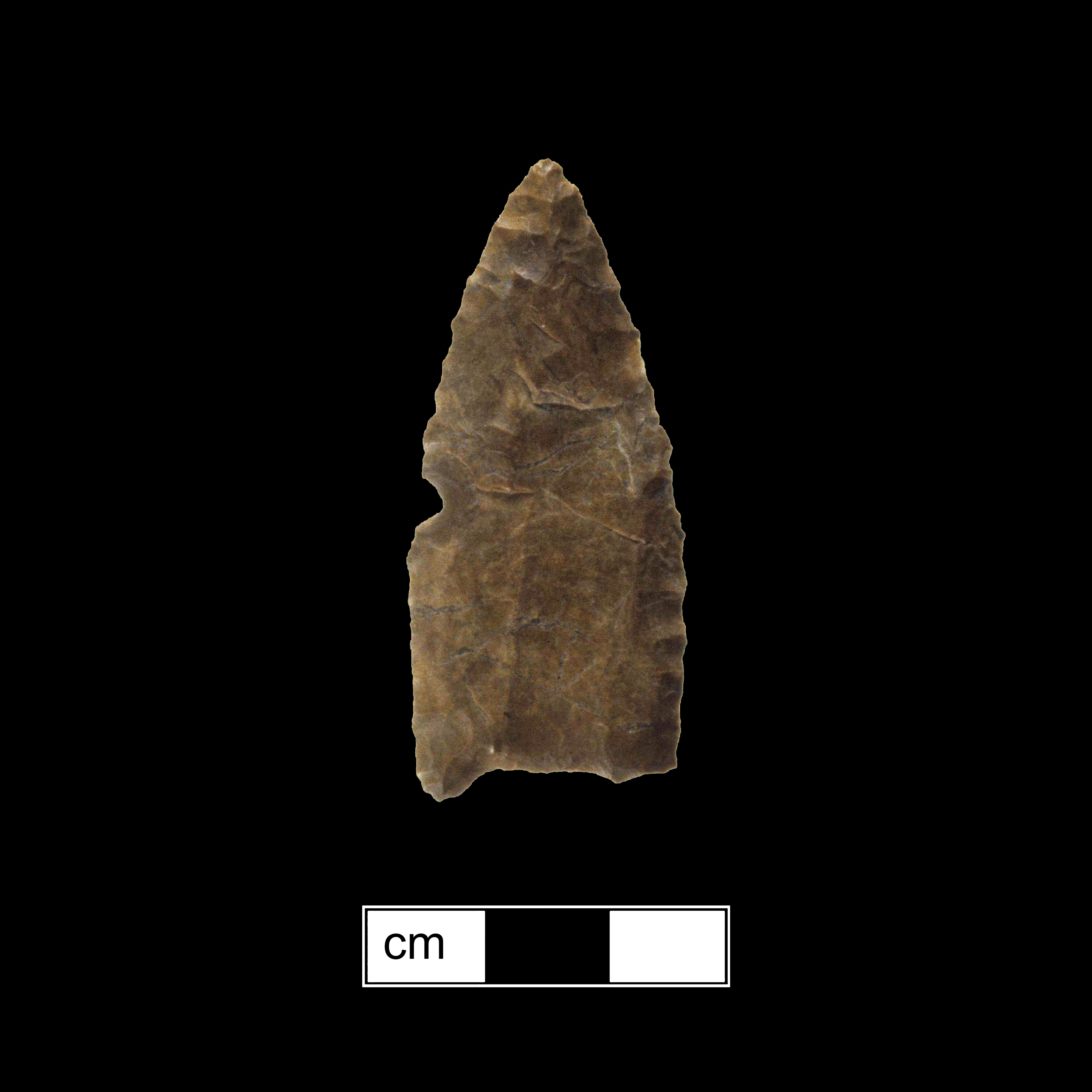 Image of stone projectile point made of Chert, Lanceolate shape, with a N/A stem, Straight blade, and Concave base shape. Clovis type.