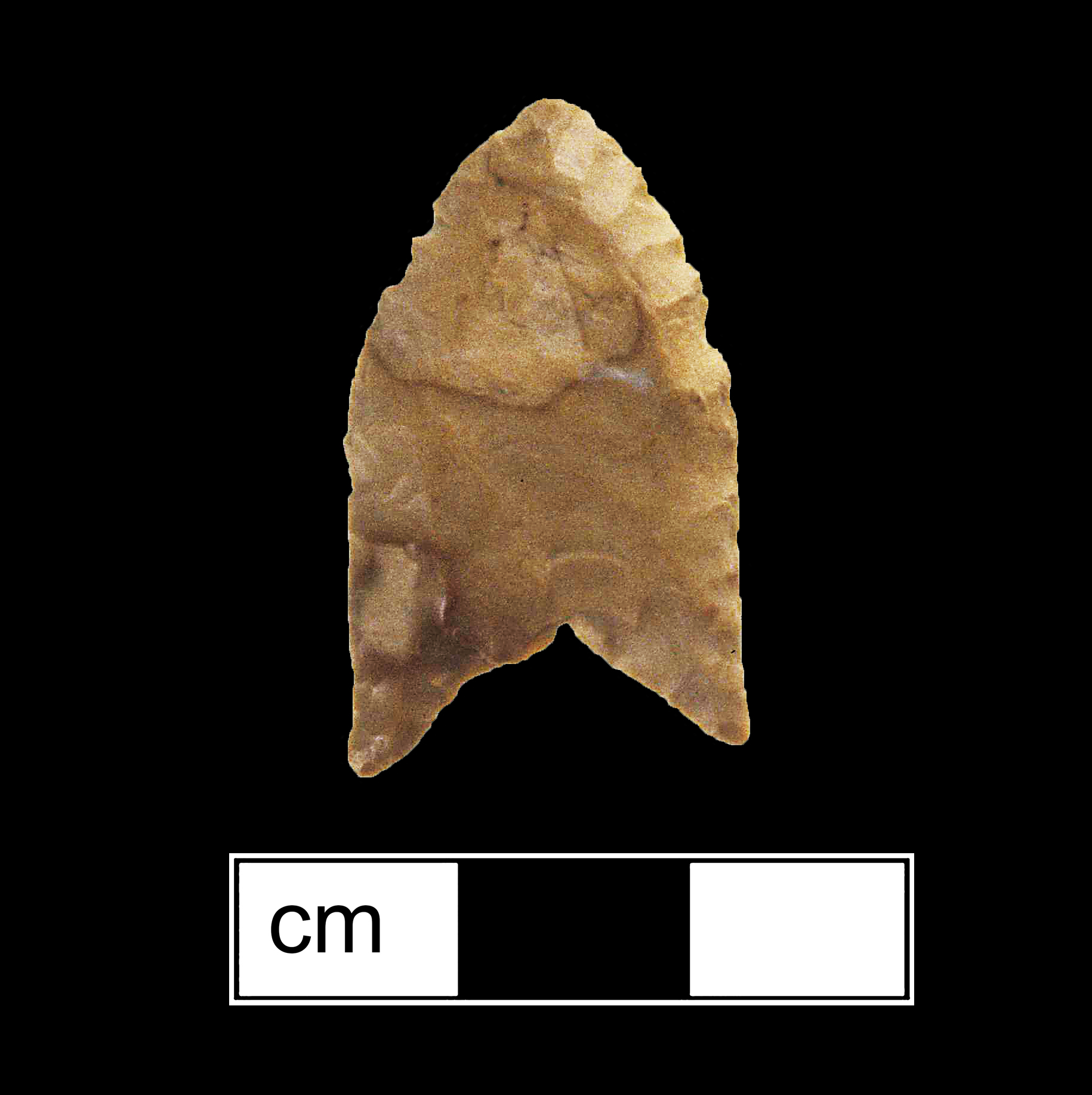 Image of stone projectile point made of Jasper, Lanceolate shape, with a N/A stem, Straight blade, and Concave base shape. Clovis type.