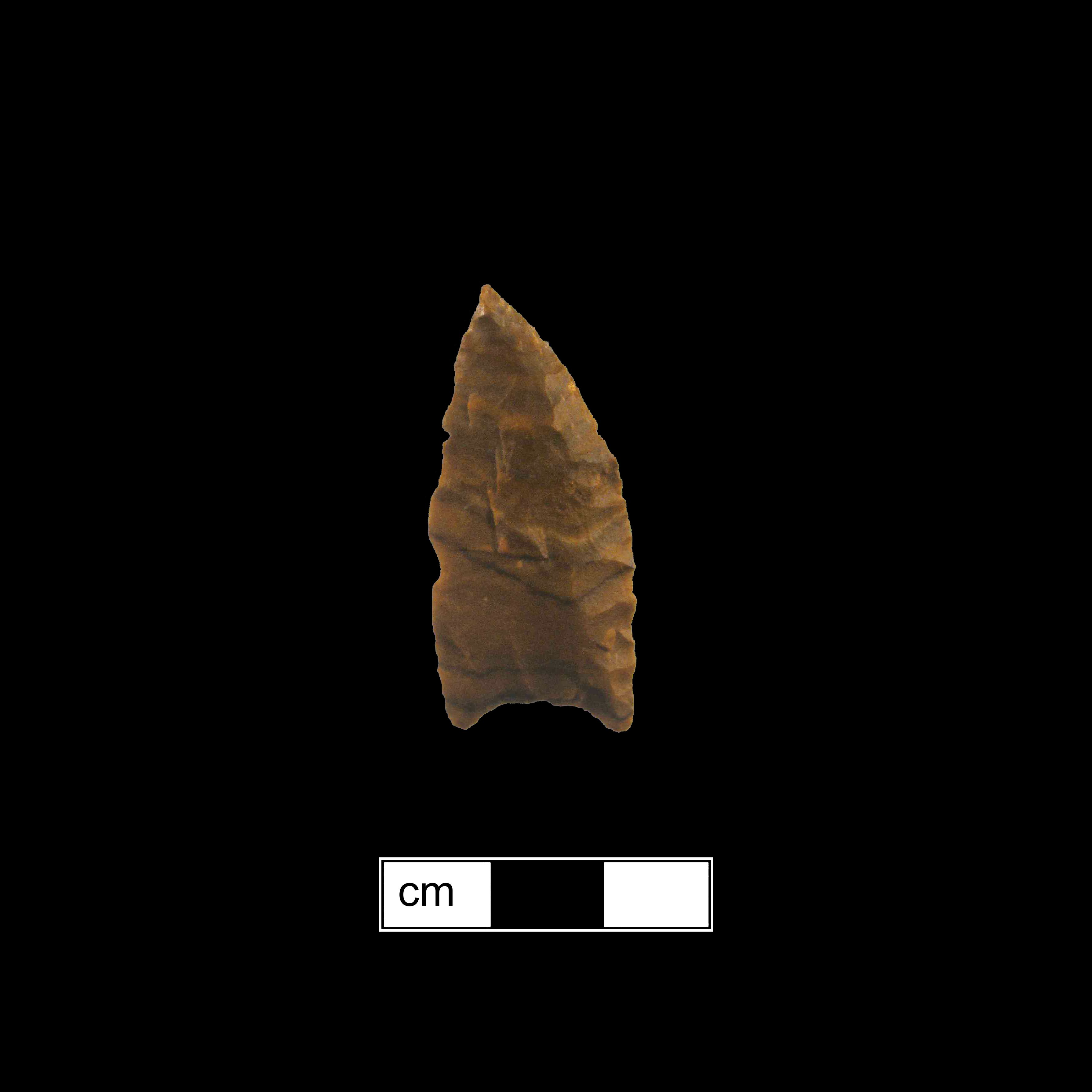 Image of stone projectile point made of Jasper, Lanceolate shape, with a N/A stem, Straight blade, and Concave base shape. Clovis type.