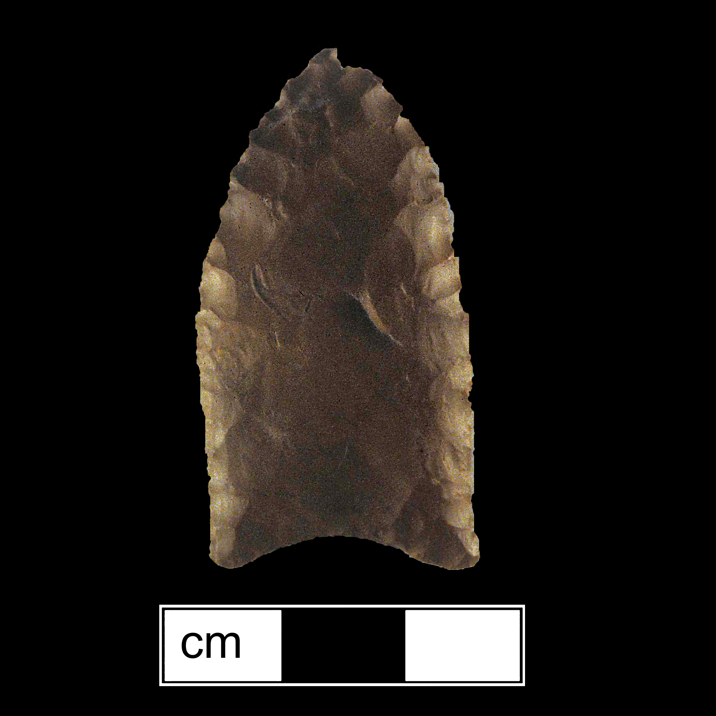 Image of stone projectile point made of Chert, Lanceolate shape, with a N/A stem, Straight blade, and Concave base shape. Clovis type.