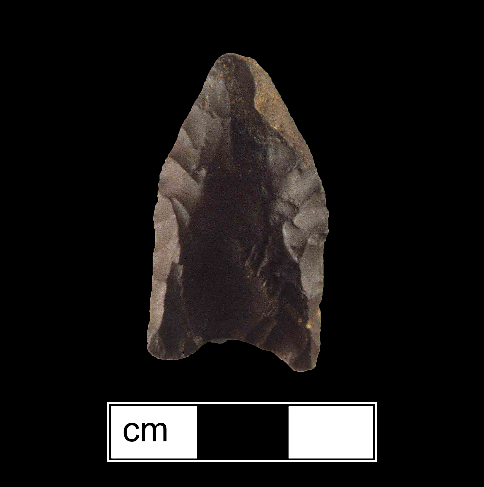 Image of stone projectile point made of Chert/Jasper, Lanceolate shape, with a N/A stem, Straight blade, and Concave base shape. Clovis type.