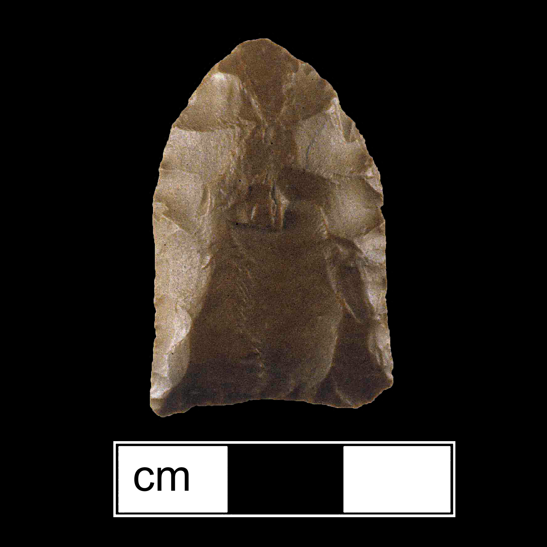 Image of stone projectile point made of Jasper, Lanceolate shape, with a N/A stem, Straight blade, and Concave base shape. Clovis type.