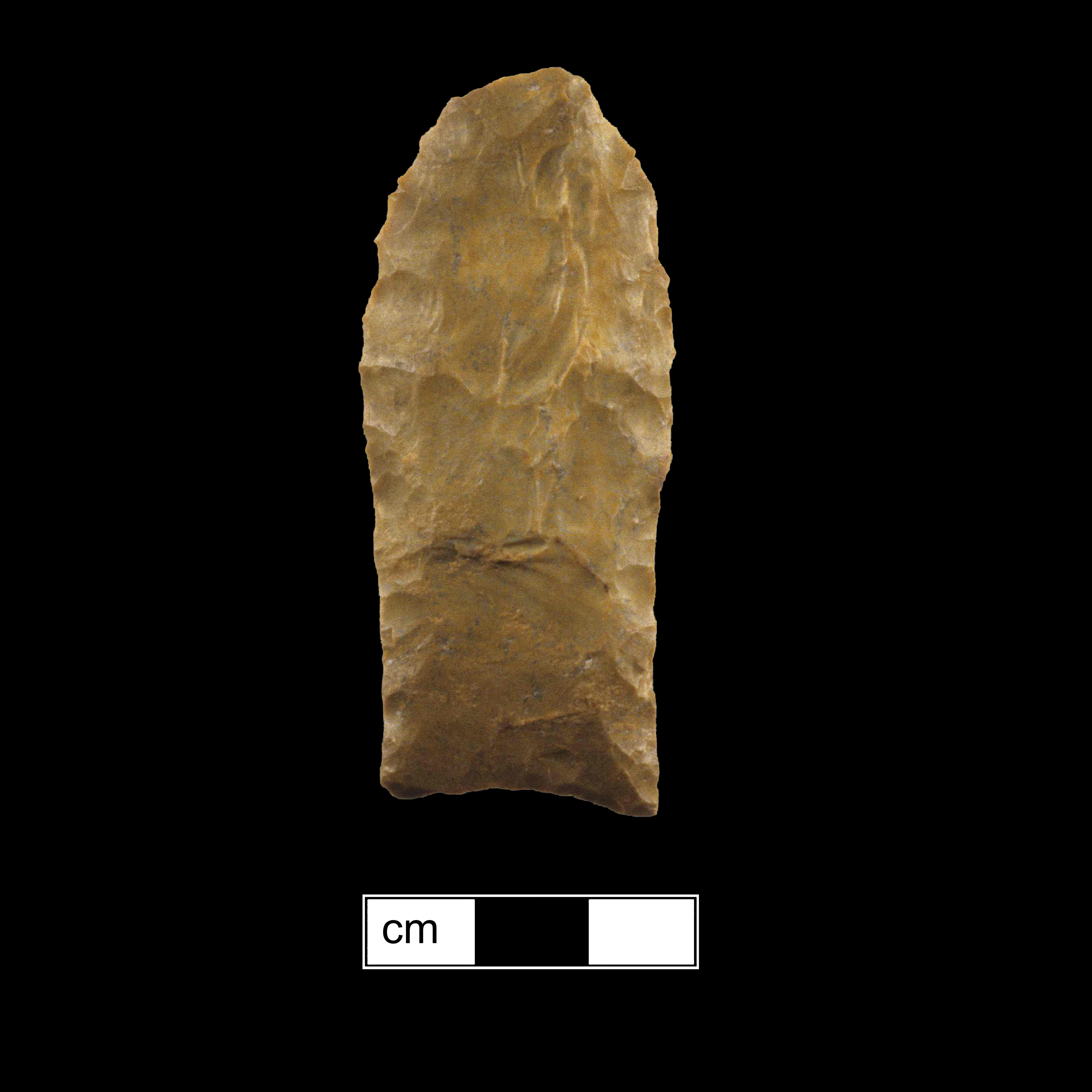 Image of stone projectile point made of Jasper, Lanceolate shape, with a N/A stem, Excurvate blade, and Concave base shape. Clovis type.