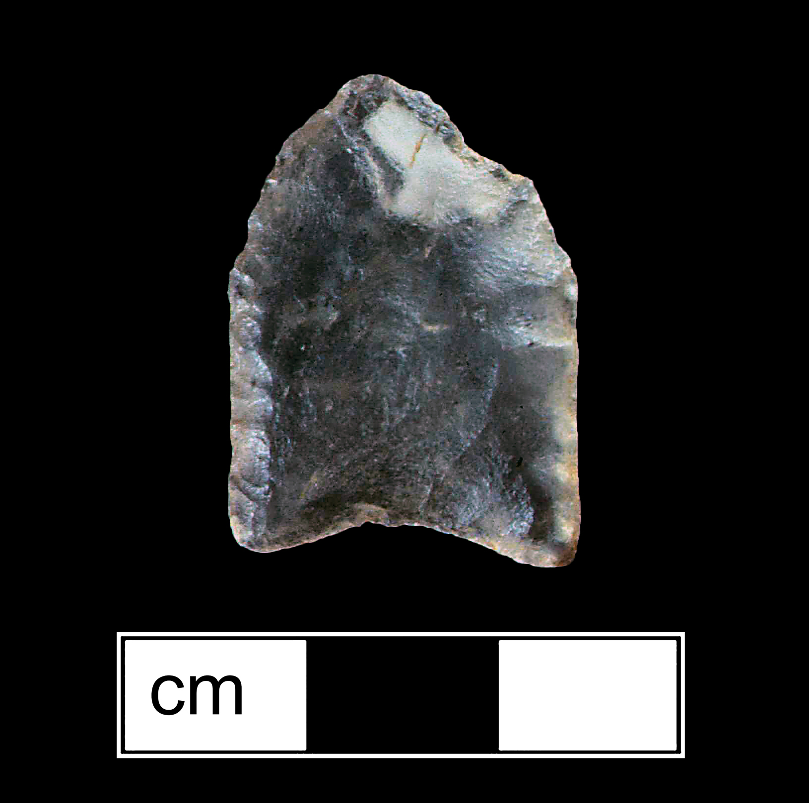 Image of stone projectile point made of Chert, Lanceolate shape, with a N/A stem, Straight blade, and Concave base shape. Clovis type.