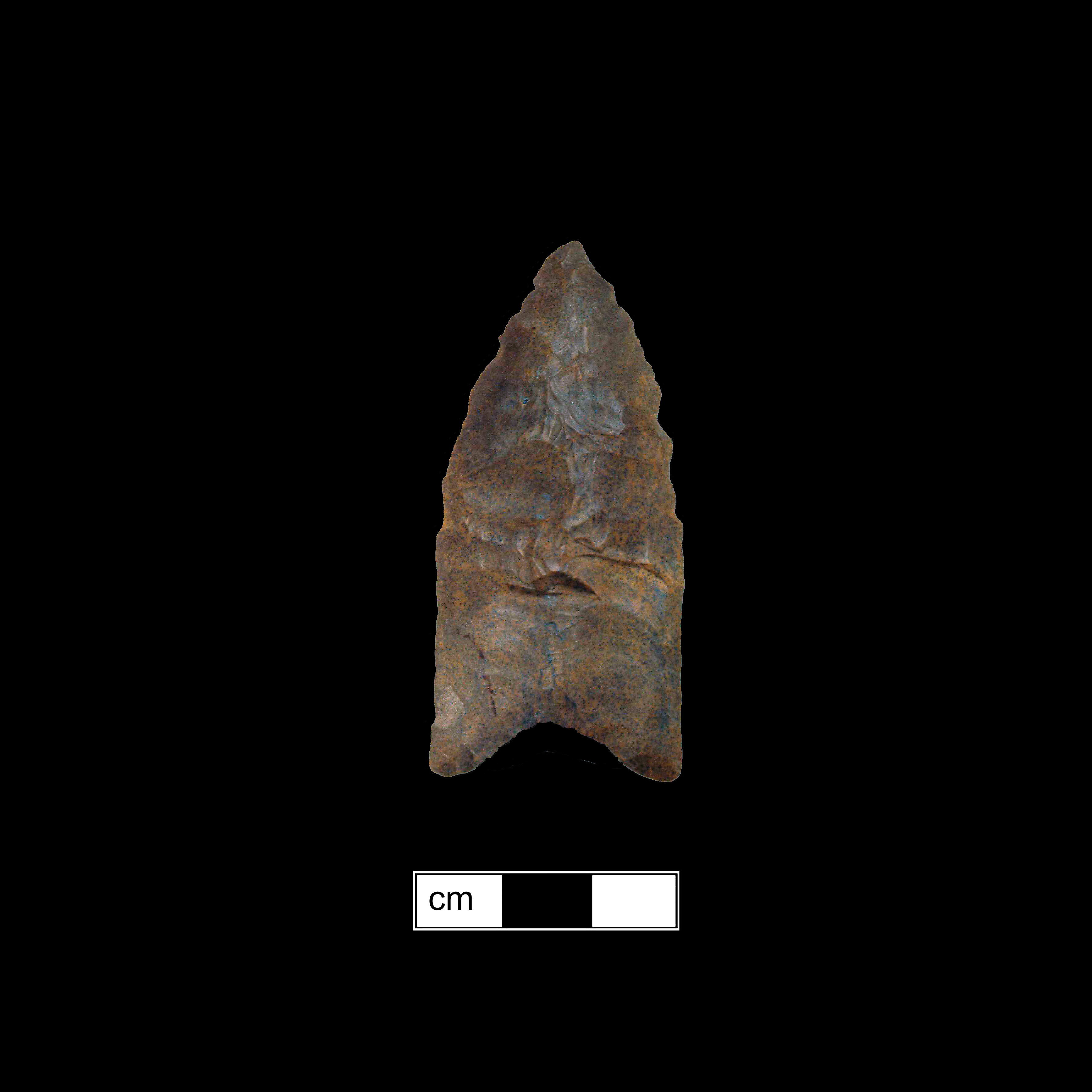 Image of stone projectile point made of Chert, Lanceolate shape, with a N/A stem, Straight blade, and Concave base shape. Clovis type.