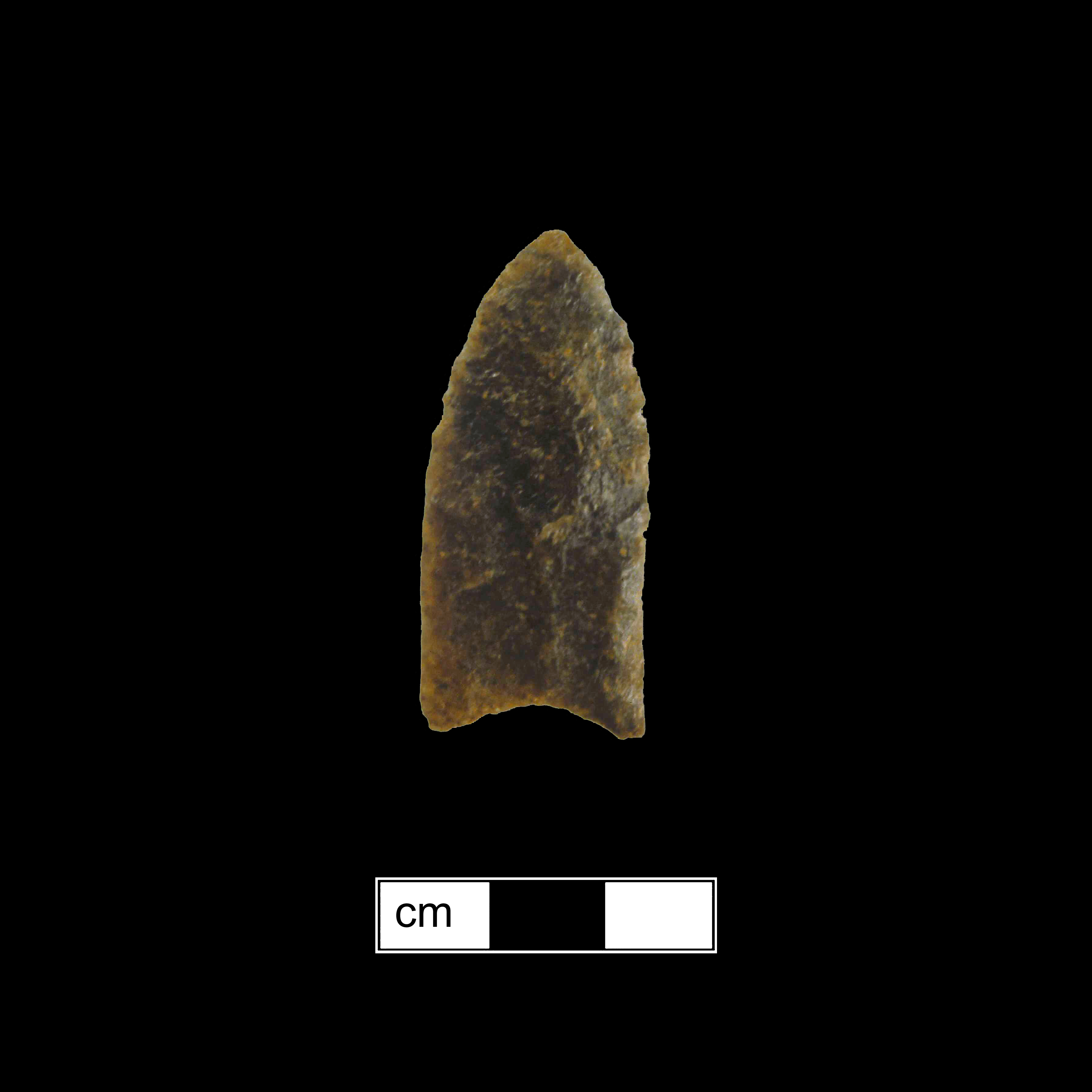 Image of stone projectile point made of Jasper, Lanceolate shape, with a N/A stem, Straight blade, and Concave base shape. Clovis type.