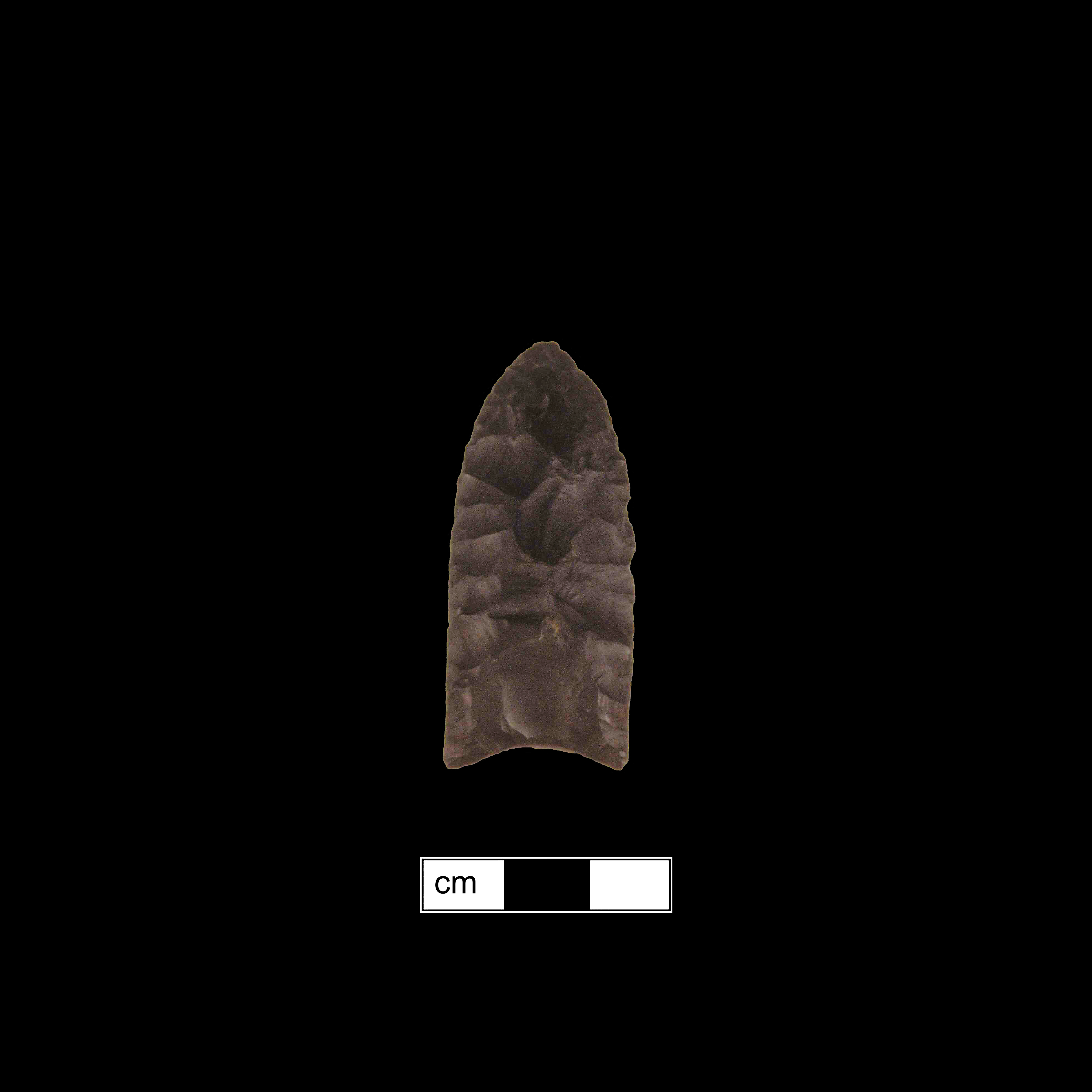 Image of stone projectile point made of Chert, Lanceolate shape, with a N/A stem, Straight blade, and Concave base shape. Clovis type.