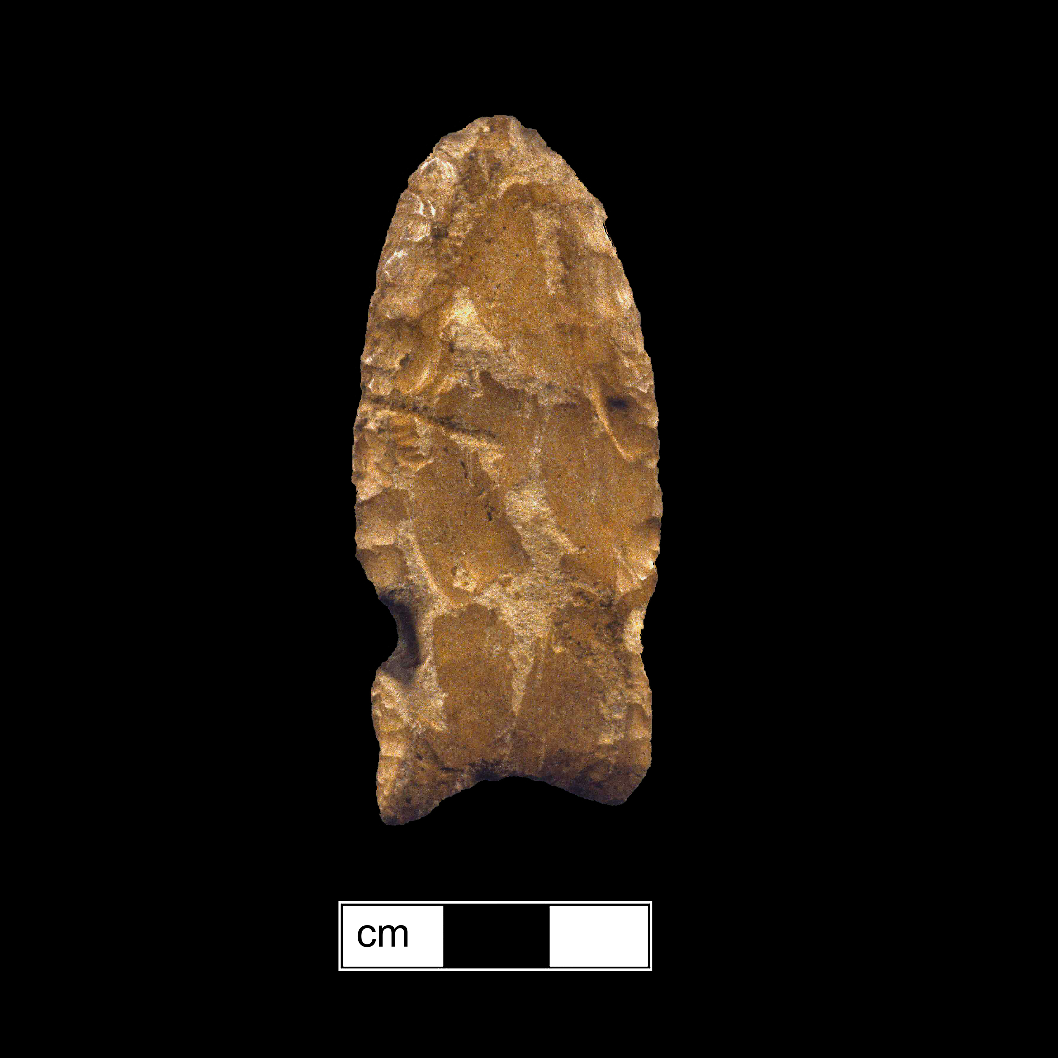 Image of stone projectile point made of Jasper, Lanceolate shape, with a N/A stem, Straight blade, and Concave base shape. Clovis type.