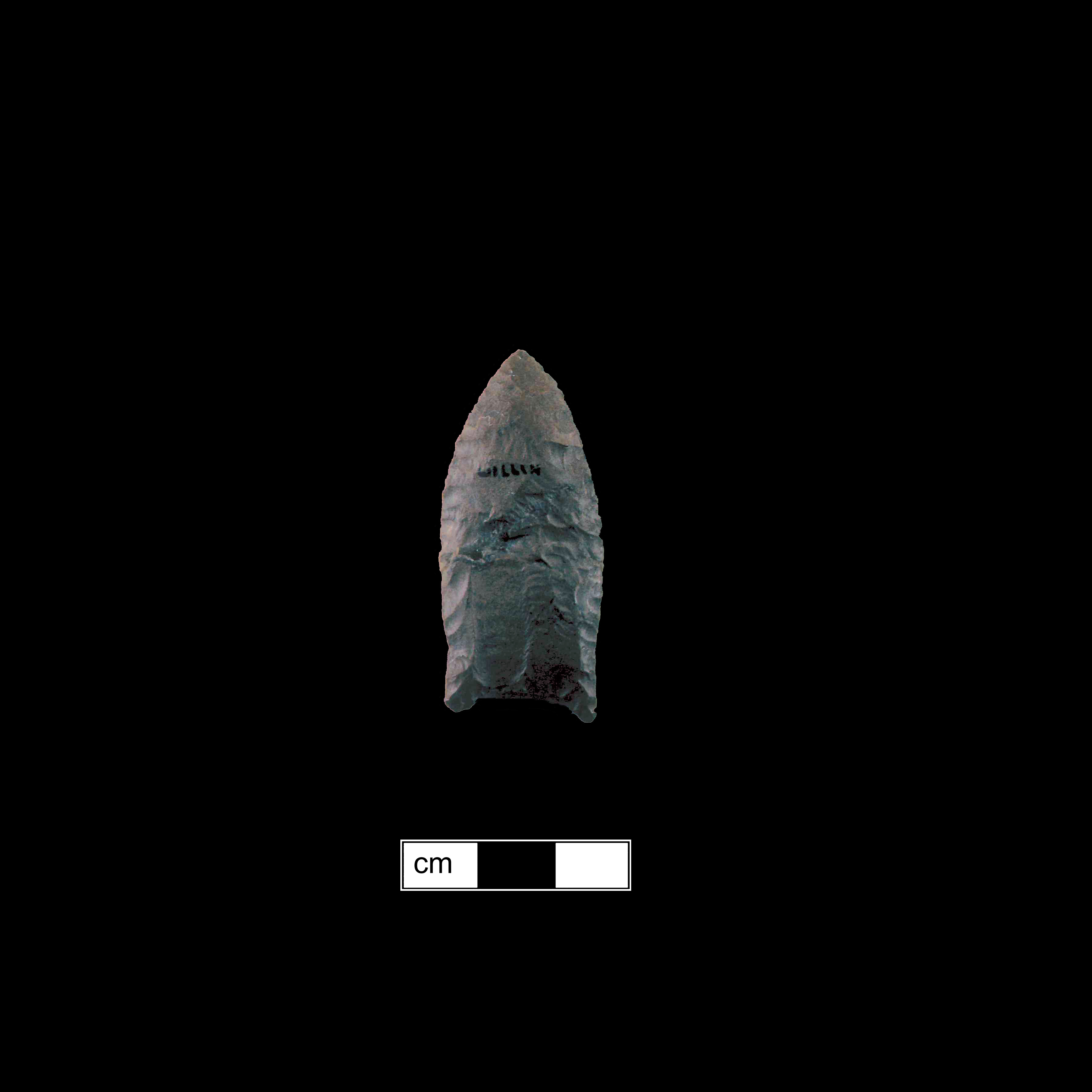 Image of stone projectile point made of Chert, Lanceolate shape, with a N/A stem, Excurvate blade, and Concave base shape. Clovis type.