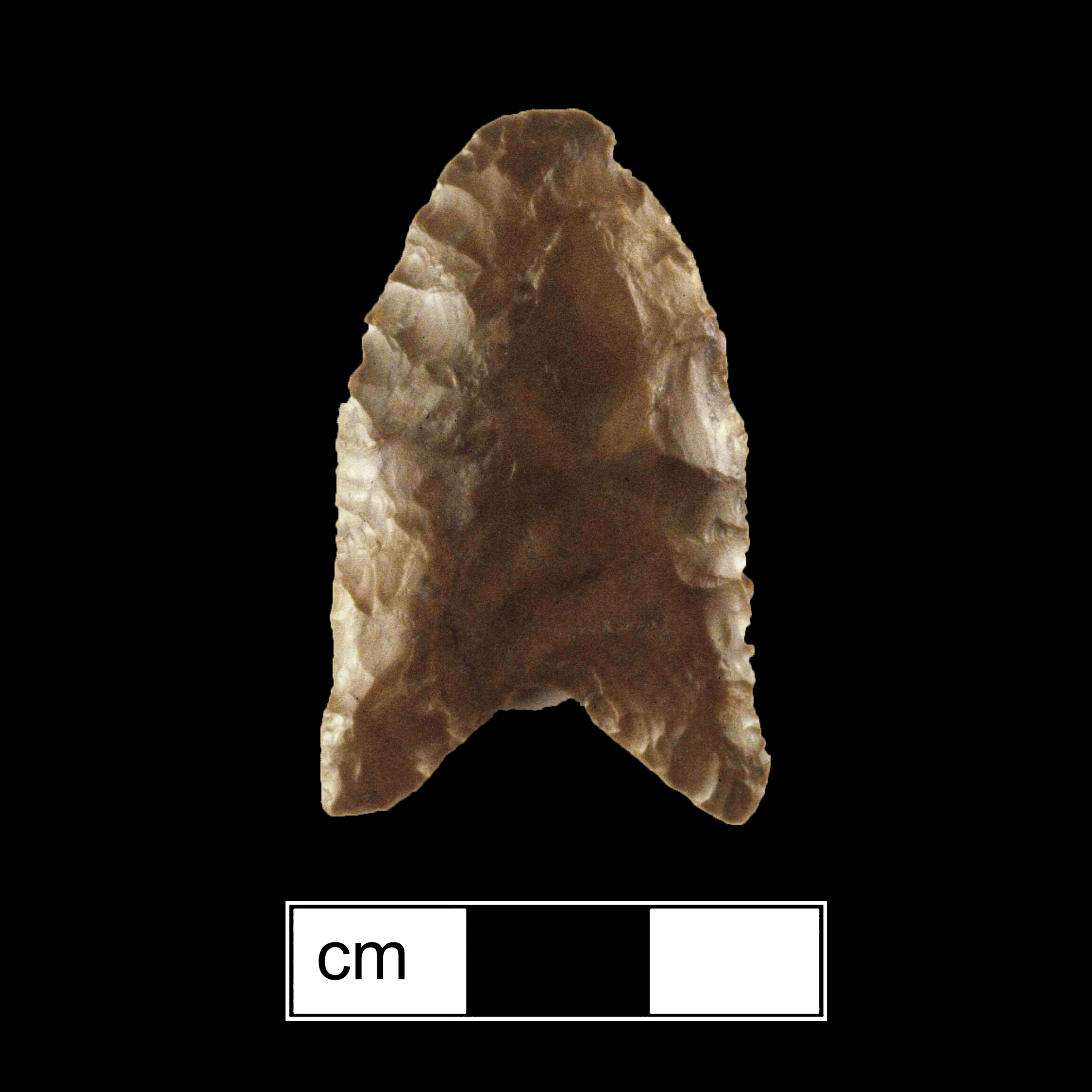 Image of stone projectile point made of Chert, Lanceolate shape, with a N/A stem, Straight blade, and Concave base shape. Clovis type.