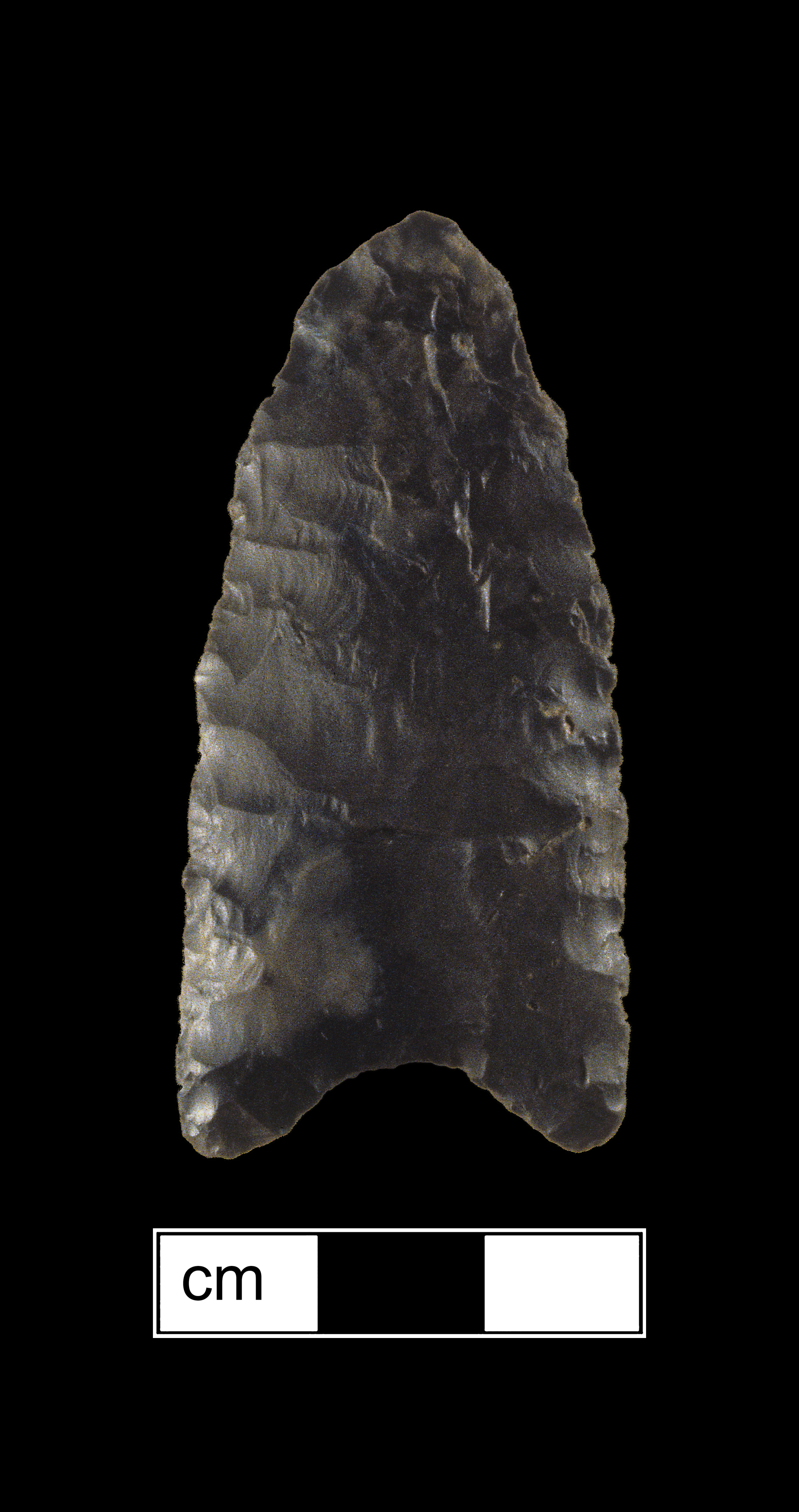 Image of stone projectile point made of Chert, Lanceolate shape, with a N/A stem, Excurvate blade, and Concave base shape. Clovis type.