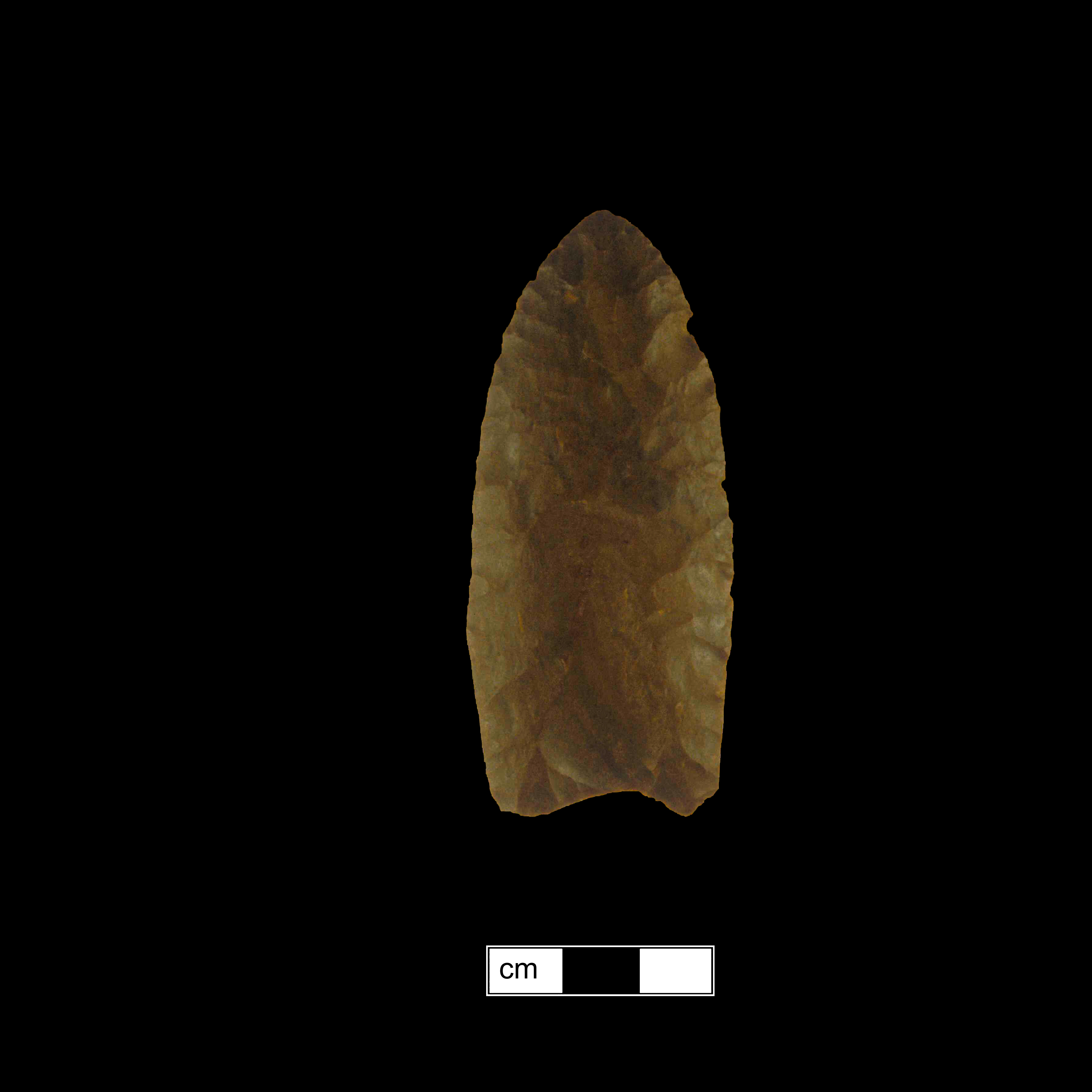 Image of stone projectile point made of Jasper, Lanceolate shape, with a N/A stem, Excurvate blade, and Concave base shape. Clovis type.