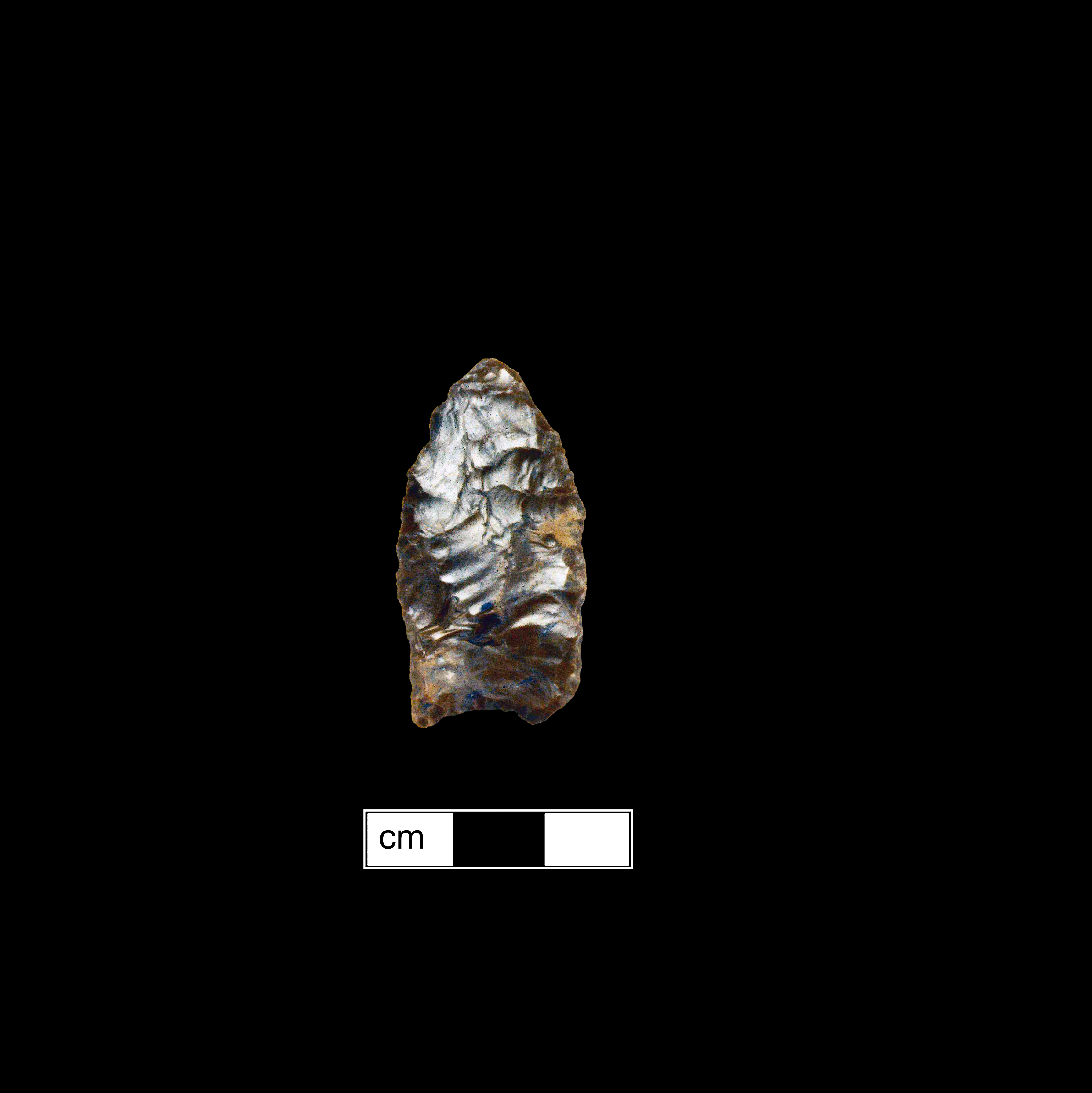 Image of stone projectile point made of Chert, Lanceolate shape, with a N/A stem, Straight blade, and Concave base shape. Clovis type.