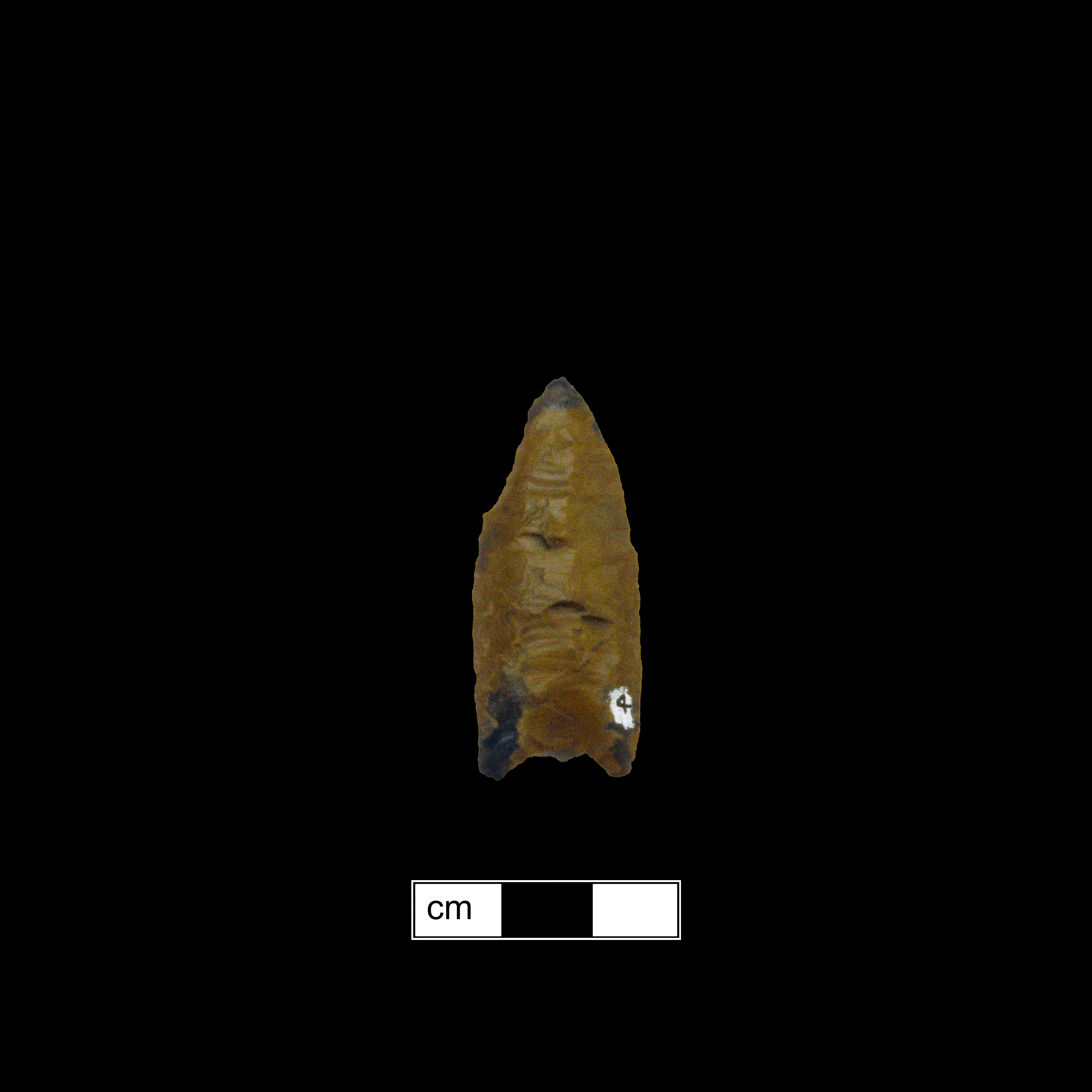 Image of stone projectile point made of Jasper, Lanceolate shape, with a N/A stem, Straight blade, and Concave base shape. Clovis type.