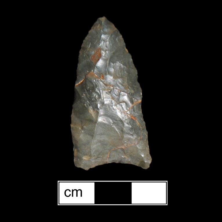 Image of stone projectile point made of Chert, Lanceolate shape, with a N/A stem, Excurvate blade, and Concave base shape. Clovis type.