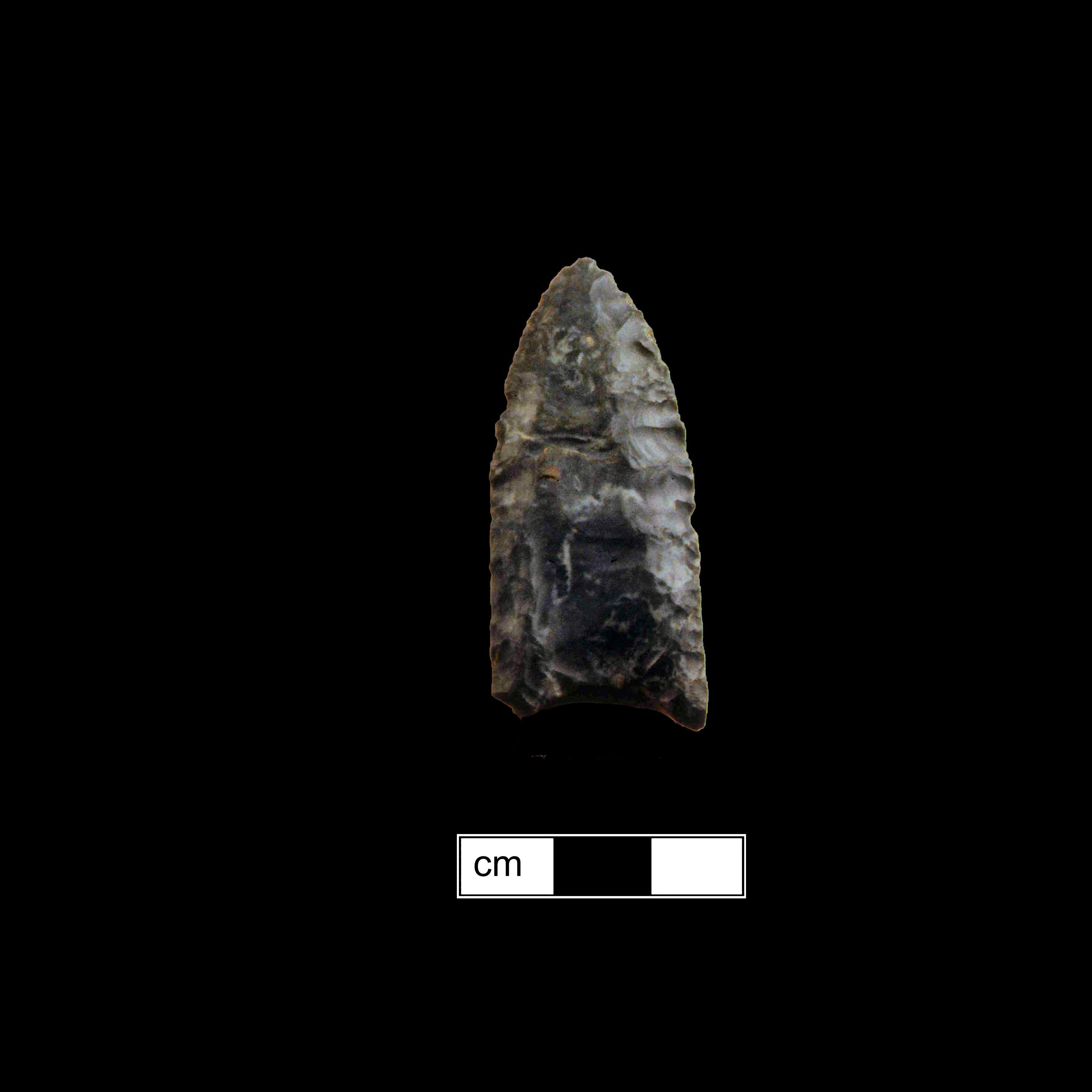 Image of stone projectile point made of Chert, Lanceolate shape, with a N/A stem, Straight blade, and Concave base shape. Clovis type.