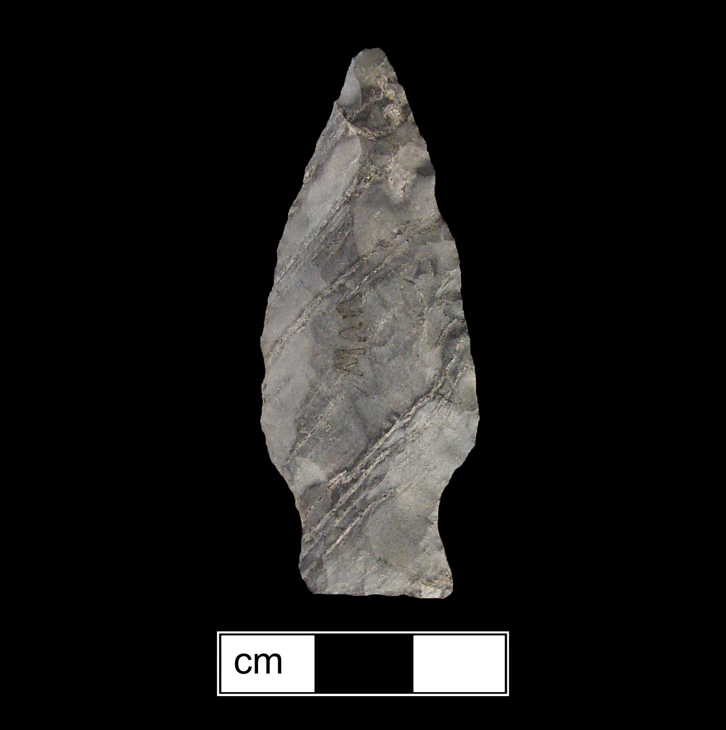 Image of stone projectile point made of Rhyolite, Stemmed shape, with a Expanding stem, Excurvate blade, and Straight base shape. Fishtail type.