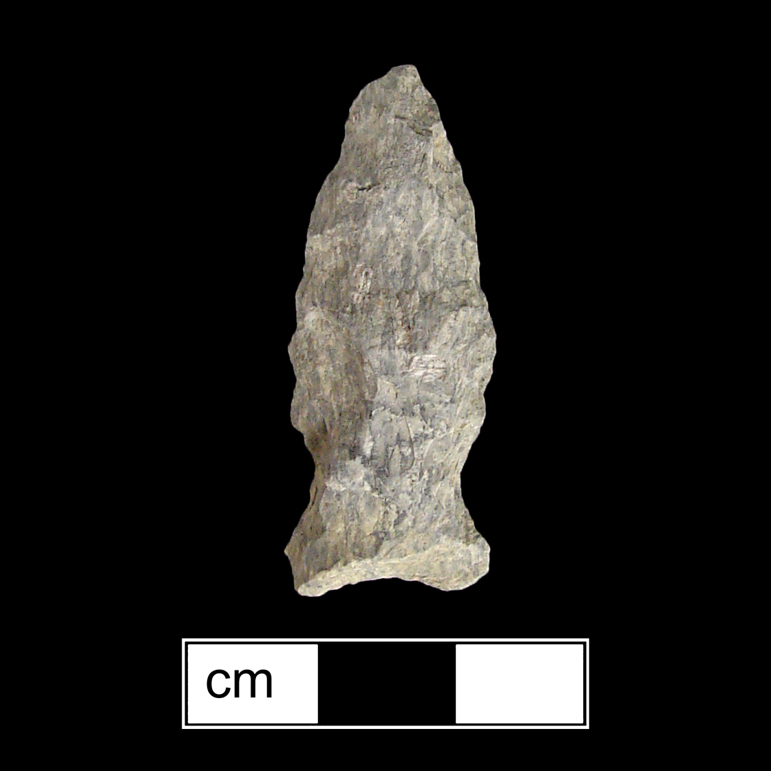 Image of stone projectile point made of Rhyolite, Stemmed shape, with a Expanding stem, Excurvate blade, and Concave base shape. Fishtail type.