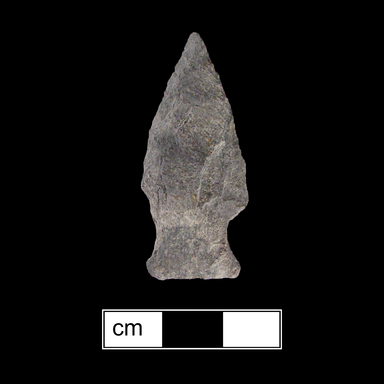 Image of stone projectile point made of Rhyolite, Stemmed shape, with a Expanding stem, Excurvate blade, and Straight base shape. Fishtail type.
