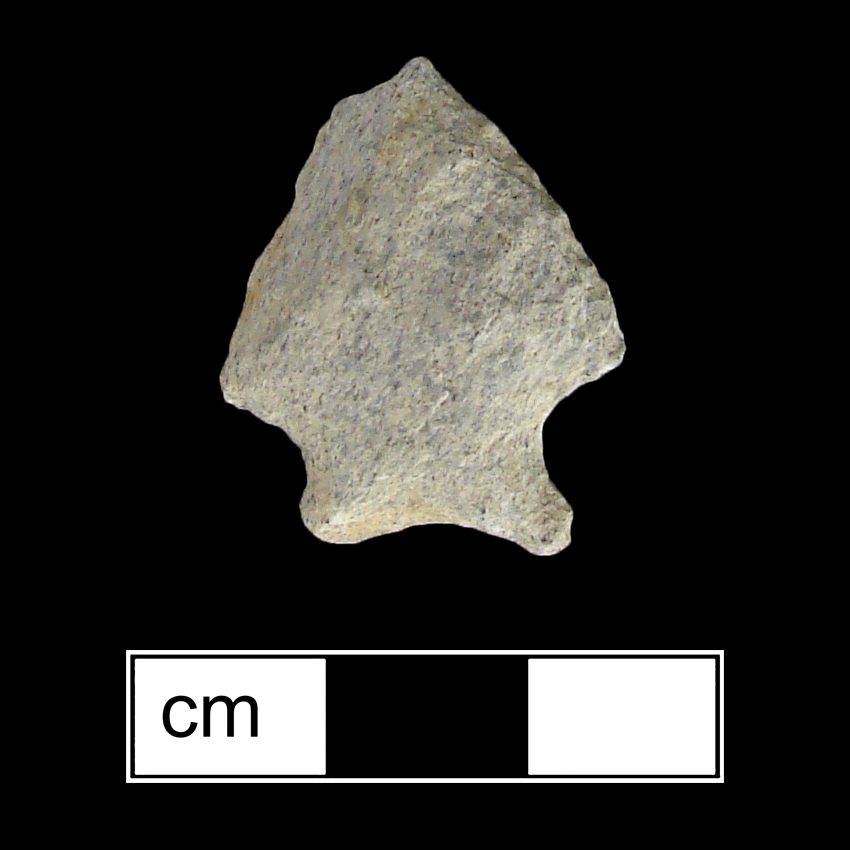 Image of stone projectile point made of Rhyolite, Stemmed shape, with a Expanding stem, Excurvate blade, and Concave base shape. Fishtail type.