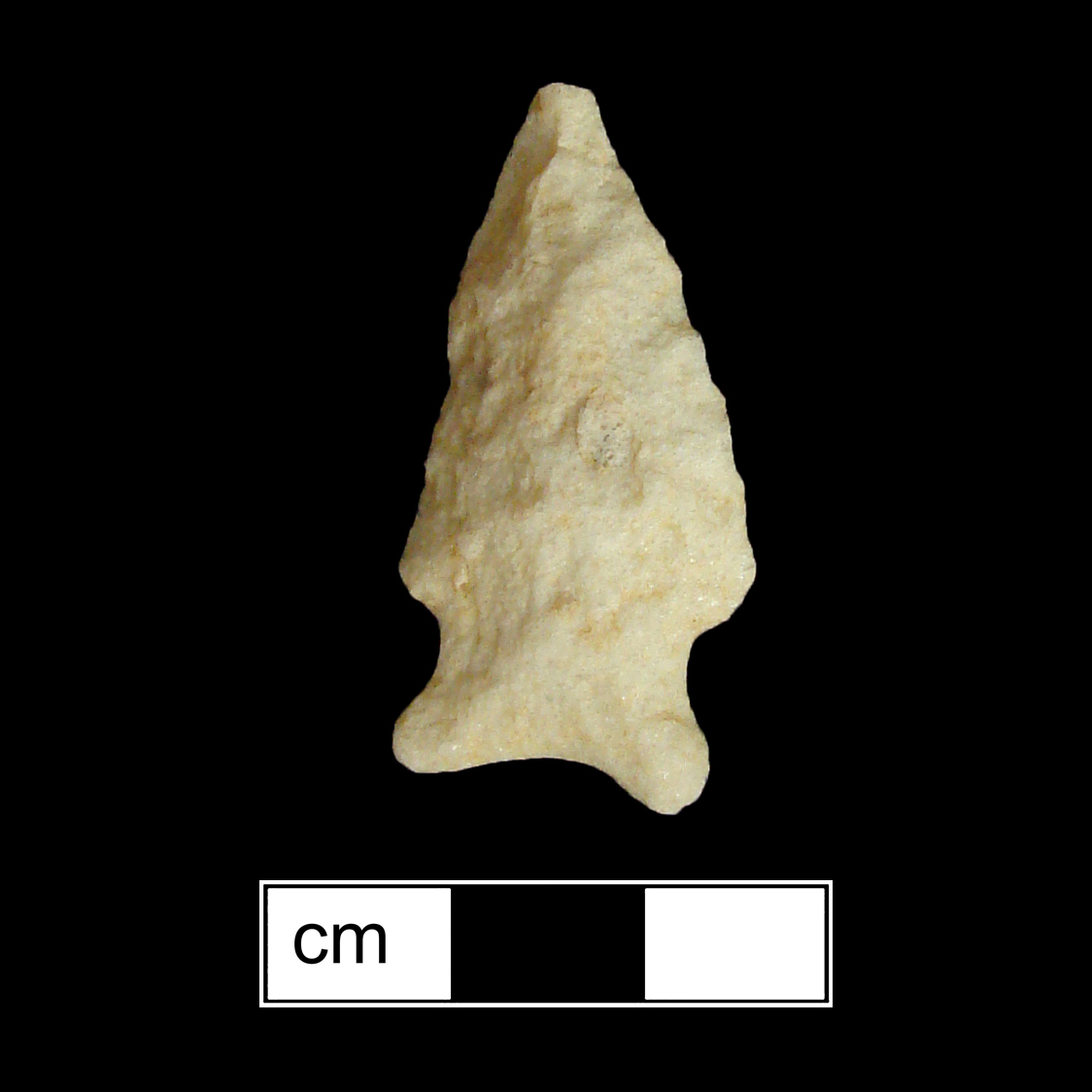 Image of stone projectile point made of Quartzite, Stemmed shape, with a Expanding stem, Excurvate blade, and Concave base shape. Fishtail type.