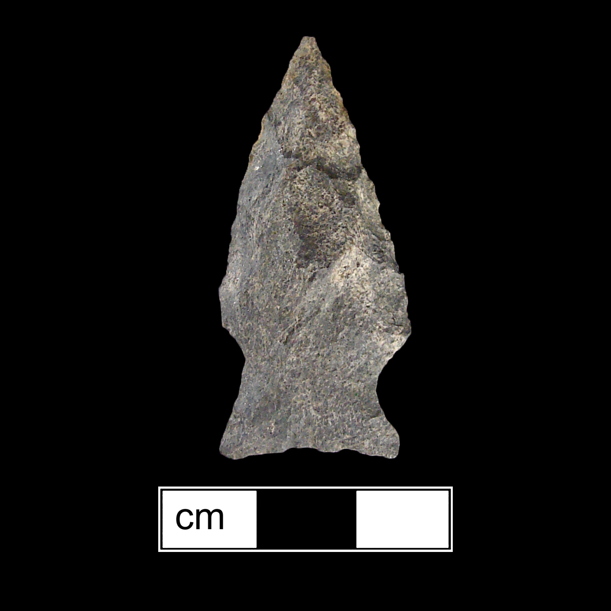 Image of stone projectile point made of Rhyolite, Stemmed shape, with a Expanding stem, Straight blade, and Concave base shape. Fishtail type.